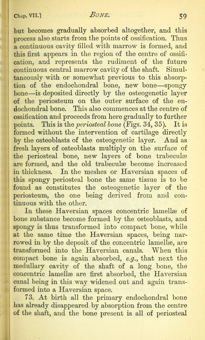 but becomes gradually absorbed altogether, and this process also starts from the points of ossification. Thus a continuous cavity filled with marrow is formed, and this first appears in the region of the centre of ossifi- 1 cation, and represents the rudiment of the future I continuous central marrow cavity of the shaft. Simul- I taneously with or somewhat previous to this absorp- tion of the endochondral bone, new bone—spongy bone—is deposited directly by the osteogenetic layer of the periosteum on the outer surface of the en- dochondral bone. This also commences at the centre of ossification and proceeds from here gradually to further points. This is the periosteal bone (Figs. 34, 35). It is formed without the intervention of cartilage directly by the osteoblasts of the osteogenetic layer. And as fresh layers of osteoblasts multiply on the surface of the periosteal bone, new layers of bone trabecul^e ! are formed, and the old trabeculse become increased in thickness. In the meshes or Haversian spaces of this spongy periosteal bone the same tissue is to be found as constitutes the osteogenetic layer of the I periosteum, the one being derived from and con- I tinuous with the other. I In these Haversian spaces concentric lamellae of I bone substance become formed by the osteoblasts, and I spongy is thus transformed into compact bone, while I at the same time the Haversian spaces, being nar- rowed in by the deposit of the concentric lamellae, are transformed into the Haversian canals. When this compact bone is again absorbed, e.g., that next the medullary cavity of the shaft of a long bone, the I concentric lamellae are first absorbed, the Haversian canal being in this way widened out and again trans- formed into a Haversian space. 73. At birth all the primary endochondral bone has already disappeared by absorption from the centre of the shaft, and the bone present is all of periosteal