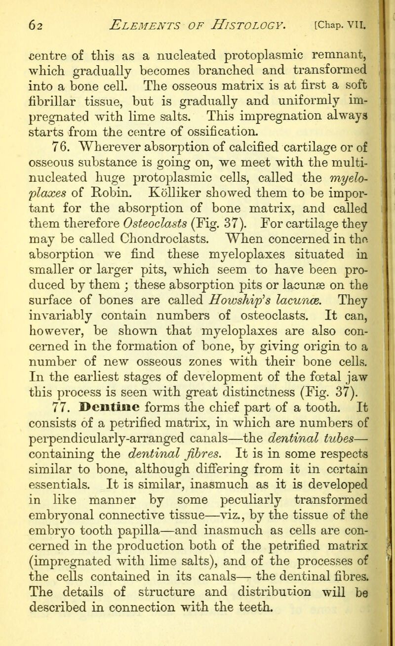 centre of this as a nucleated protoplasmic remnant, which gradually becomes branched and transformed into a bone cell. The osseous matrix is at first a soft fibrillar tissue, but is gradually and uniformly im- pregnated with lime salts. This impregnation always starts from the centre of ossification. 76. Wherever absorption of calcified cartilage or of osseous substance is going on, we meet with the multi- nucleated huge protoplasmic cells, called the myelo- flaxes of Robin. KoUiker showed them to be impor- tant for the absorption of bone matrix, and called them therefore Osteoclasts (Fig. 37). For cartilage they may be called Chondroclasts. When concerned in tho. absorption w^e find these myeloplaxes situated in smaller or larger pits, which seem to have been pro- duced by them ; these absorption pits or lacunae on the surface of bones are called Howship's lacunae. They invariably contain numbers of osteoclasts. It can, however, be shown that myeloplaxes are also con- cerned in the formation of bone, by giving origin to a number of new osseous zones with their bone cells. In the earliest stages of development of the foetal jaw this process is seen with great distinctness (Fig. 37). 77. Dentioe forms the chief part of a tooth. It consists of a petrified matrix, in w^hich are numbers of perpendicularly-arranged canals—the dentinal tubes— containing the dentinal fibres. It is in some respects similar to bone, although diff'ering from it in certain essentials. It is similar, inasmuch as it is developed in like manner by some peculiarly transformed embryonal connective tissue—viz., by the tissue of the embryo tooth papilla—and inasmuch as cells are con- cerned in the production both of the petrified matrix (impregnated with lime salts), and of the processes of the cells contained in its canals— the dentinal fibres. The details of structure and distribution will be described in connection with the teeth.