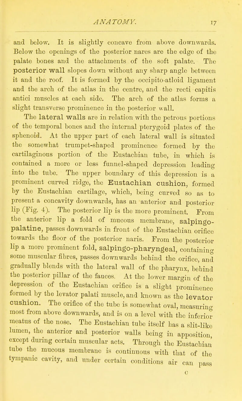 and below. It is slightly concave from above downwards. Below the openings of the posterior nares are the edge of the palate bones and the attachments of the soft palate. The posterior wall slopes down without any sharp angle between it and the roof. It is formed by the occipito-atloid ligament and the arch of the atlas in the centre, and the recti capitis antici muscles at each side. The arch of the atlas forms a slight transverse prominence in the posterior wall. The lateral walls are in relation with the petrous portions of the temporal bones and the internal pterygoid plates of the sphenoid. At the upper part of each lateral wall is situated the somewhat trumpet-shaped prominence formed by the cartilaginous portion of the Eustachian tube, in which is contained a more or less funnel-shaped depression leading into the tube. The upper boundary of this depression is a prominent curved ridge, the Eustachian cushion, formed by the Eustachian cartilage, which, being curved so as to present a concavity downwards, has an anterior and posterior lip (Fig. 4). The posterior lip is the more prominent. From the anterior lip a fold of mucous membrane, salpingo- palatine, passes downwards in front of the Eustachian orifice towards the floor of the posterior naris. From the posterior lip a more prominent fold, salpingo-pharyngeal, containing some muscular fibres, passes downwards behind the orifice, and gradually blends with the lateral wall of the pharynx, behind the posterior pillar of the fauces. At the lower margin of the depression of the Eustachian orifice is a slight prominence formed by the levator palati muscle, and known as the levator cushion. The orifice of the tube is somewhat oval, measuring most from above downwards, and is on a level with the inferior meatus of the nose. The Eustachian tube itself has a slit-like lumen, the anterior and posterior walls being in apposition except during certain muscular acts. Through the Eustachian' tube the mucous membrane is continuous with that of the tympanic cavity, and under certain conditions air can pass 0