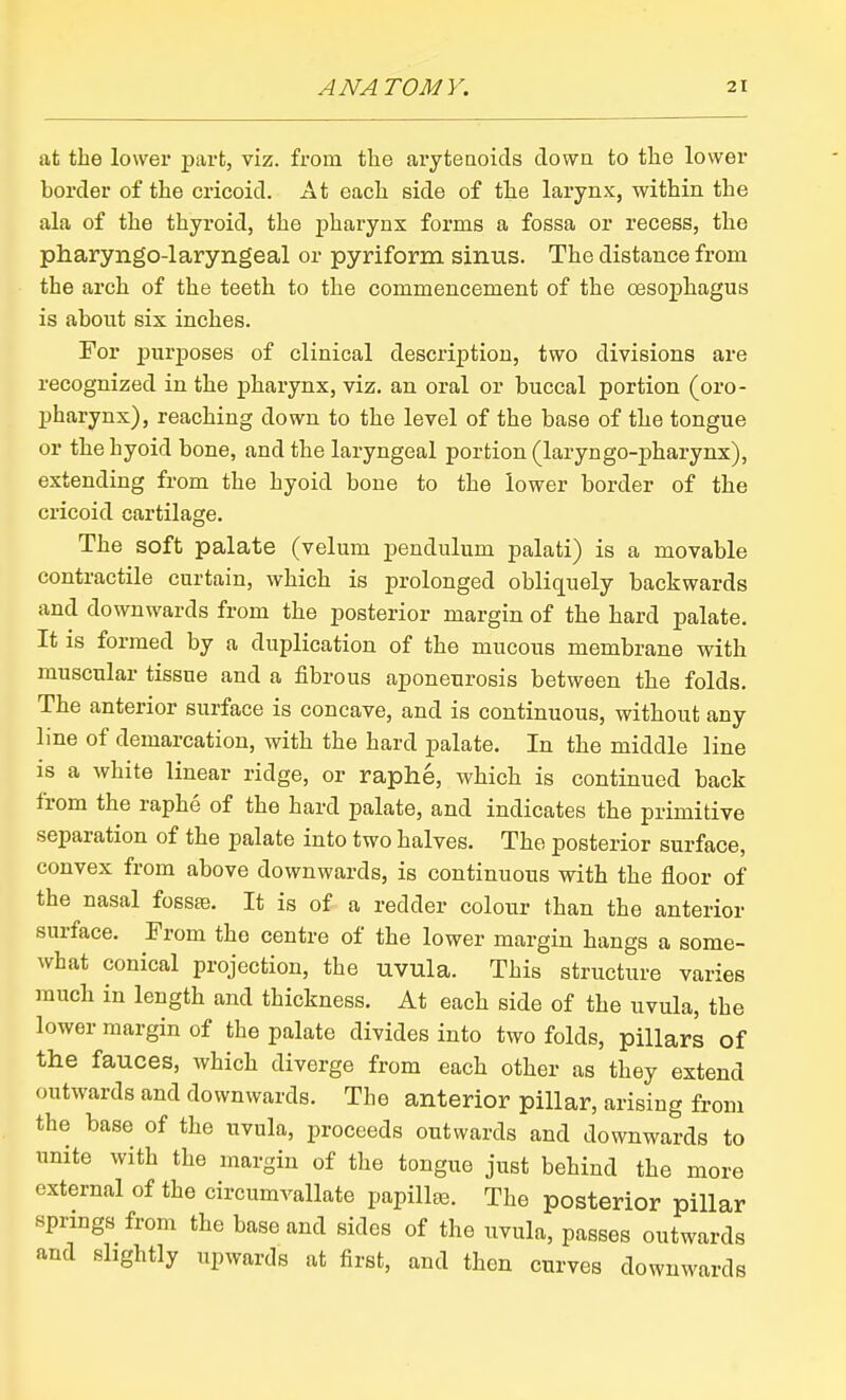 at the lower part, viz. from the aryteaoids clown to the lower border of the cricoid. At each side of the larynx, within the ala of the thyroid, the pharynx forms a fossa or recess, the pharyngo-laryngeal or pyriform sinus. The distance from the arch of the teeth to the commencement of the oesophagus is about six inches. For purposes of clinical description, two divisions are recognized in the pharynx, viz, an oral or buccal portion (oro- pharynx), reaching down to the level of the base of the tongue or the hyoid bone, and the laryngeal portion (laryngo-jpharynx), extending from the hyoid bone to the lower border of the cricoid cartilage. The soft palate (velum pendulum palati) is a movable contractile curtain, which is prolonged obliquely backwards and downwards from the posterior margin of the hard palate. It is formed by a duplication of the mucous membrane with muscular tissue and a fibrous aponeurosis between the folds. The anterior surface is concave, and is continuous, without any line of demarcation, with the hard palate. In the middle line is a white linear ridge, or raphe, which is continued back from the raphe of the hard palate, and indicates the primitive separation of the palate into two halves. The posterior surface, convex from above downwards, is continuous with the floor of the nasal fossfe. It is of a redder colour than the anterior surface. Prom the centre of the lower margin hangs a some- what conical projection, the uvula. This structure varies much in length and thickness. At each side of the uvula, the lower margin of the palate divides into two folds, pillars of the fauces, which diverge from each other as they extend outwards and downwards. The anterior pillar, arising from the base of the uvula, proceeds outwards and downwards to unite with the margin of the tongue just behind the more external of the circumvallate papillte. The posterior pillar springs from the base and sides of the uvula, passes outwards and shghtly upwards at first, and then curves downwards