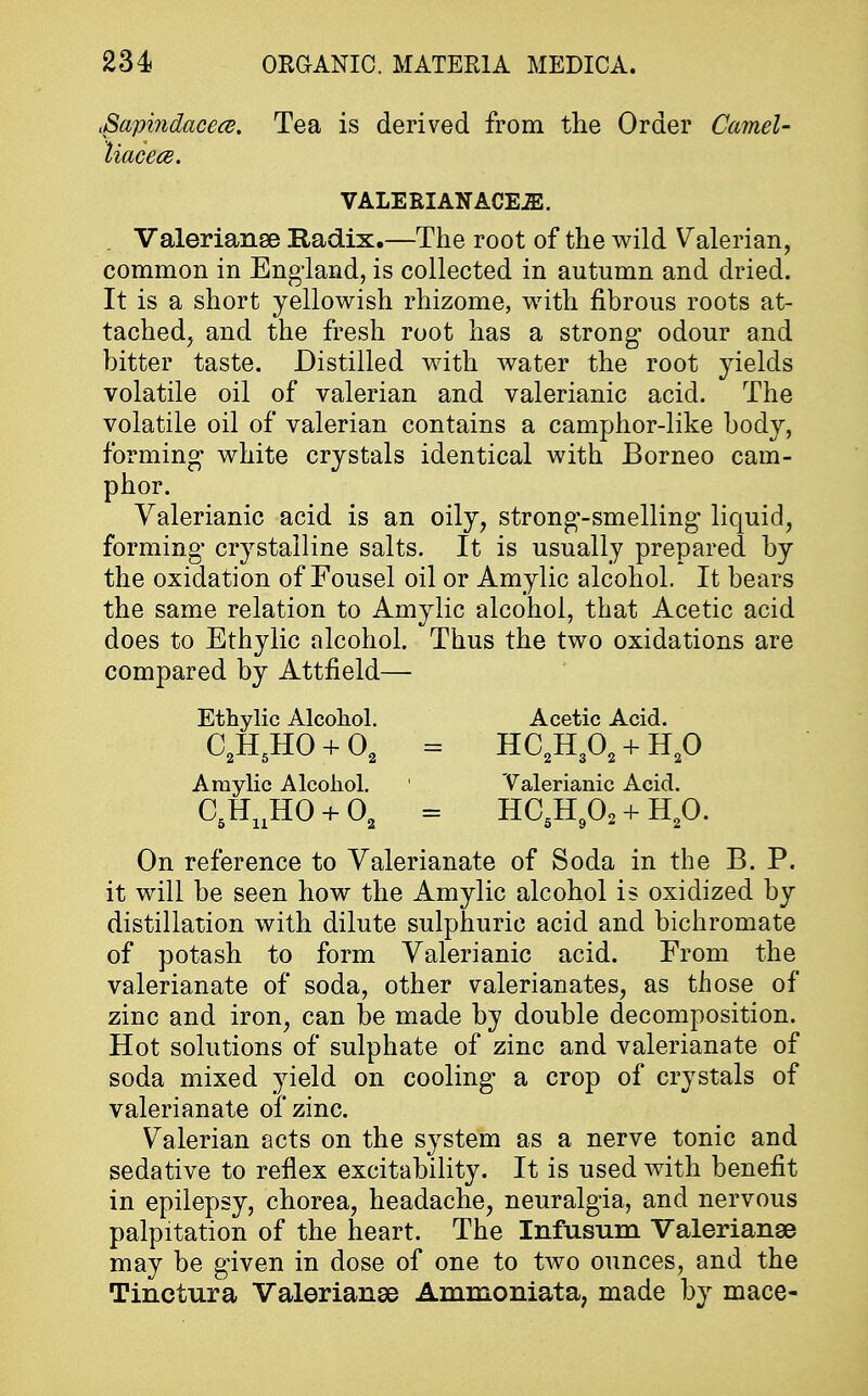 tSapindacece. Tea is derived from the Order Camel- liacece. VALERIANACEJE. Valerianae Radix.—The root of the wild Valerian, common in England, is collected in autumn and dried. It is a short yellowish rhizome, with fibrous roots at- tached, and the fresh root has a strong' odour and bitter taste. Distilled with water the root yields volatile oil of valerian and valerianic acid. The volatile oil of valerian contains a camphor-like body, forming white crystals identical with Borneo cam- phor. Valerianic acid is an oily, strong-smelling liquid, forming* crystalline salts. It is usually prepared by the oxidation of Fousel oil or Amylic alcohol. It bears the same relation to Amylic alcohol, that Acetic acid does to Ethylic alcohol. Thus the two oxidations are compared by Attfield— Ethylic Alcohol. Acetic Acid. C2H5HO + Oa = HC^ + H^ Amylic Alcohol. ' Valerianic Acid. C5HuHO + 02 = HC5H902 + H20. On reference to Valerianate of Soda in the B. P. it will be seen how the Amylic alcohol is oxidized by distillation with dilute sulphuric acid and bichromate of potash to form Valerianic acid. Erom the valerianate of soda, other valerianates, as those of zinc and iron, can be made by double decomposition. Hot solutions of sulphate of zinc and valerianate of soda mixed yield on cooling a crop of crystals of valerianate of zinc. Valerian acts on the system as a nerve tonic and sedative to reflex excitability. It is used with benefit in epilepsy, chorea, headache, neuralgia, and nervous palpitation of the heart. The Infusum Valerianae may be given in dose of one to two ounces, and the Tinctura Valerianae Ammoniata, made by mace-