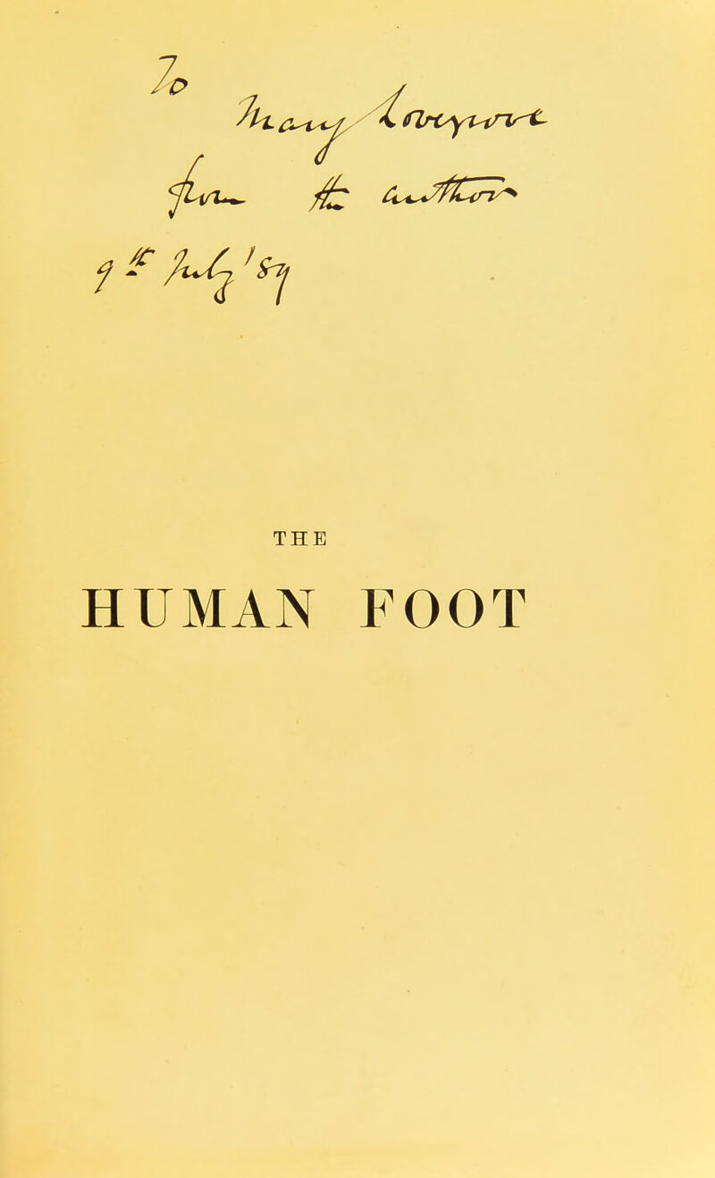 THE HUMAN FOOT