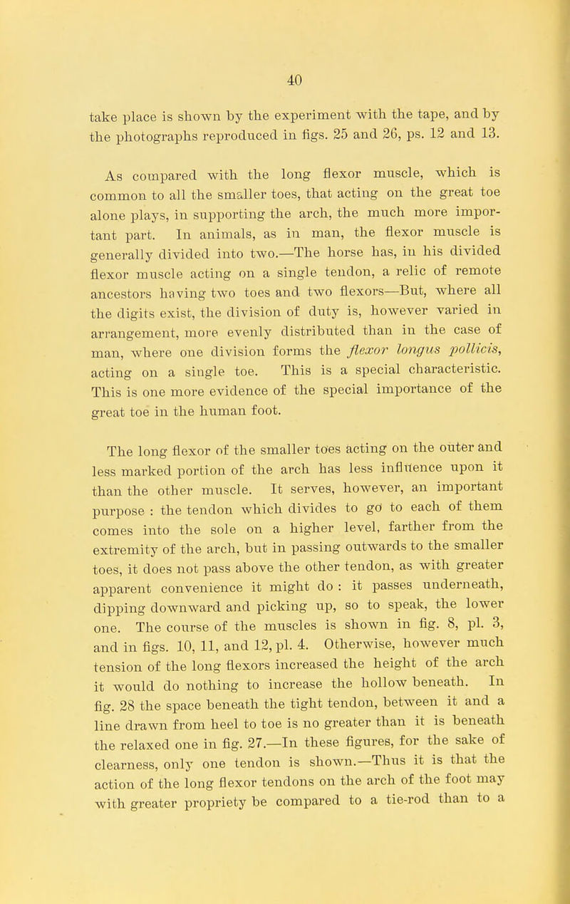 take place is shown by the experiment with the tape, and by the photographs reproduced in iigs. 25 and 26, ps. 12 and 13. As compared with the long flexor muscle, which is common to all the smaller toes, that acting on the great toe alone plays, in supporting the arch, the much more impor- tant part. In animals, as in man, the flexor muscle is generally divided into two.—The horse has, in his divided flexor muscle acting on a single tendon, a relic of remote ancestors having two toes and two flexors—But, where all the digits exist, the division of duty is, however varied in arrangement, more evenly distributed than in the case of man, Avhere one division forms the flexor longus polUcis, acting on a single toe. This is a special characteristic. This is one more evidence of the special importance of the great toe in the human foot. The long flexor of the smaller toes acting on the outer and less marked portion of the arch has less influence upon it than the other muscle. It serves, however, an important purpose : the tendon which divides to gcf to each of them comes into the sole on a higher level, farther from the extremity of the arch, but in passing outwards to the smaller toes, it does not pass above the other tendon, as with greater apparent convenience it might do : it passes underneath, dipping downward and picking up, so to speak, the lower one. The course of the muscles is shown in fig. 8, pi. 3, and in figs. 10, 11, and 12, pi. 4. Otherwise, however much tension of the long flexors increased the height of the arch it would do nothing to increase the hollow beneath. In fig. 28 the space beneath the tight tendon, between it and a line drawn from heel to toe is no greater than it is beneath the relaxed one in fig. 27.—In these figures, for the sake of clearness, only one tendon is shown.—Thus it is that the action of the long flexor tendons on the arch of the foot may with greater propriety be compared to a tie-rod than to a