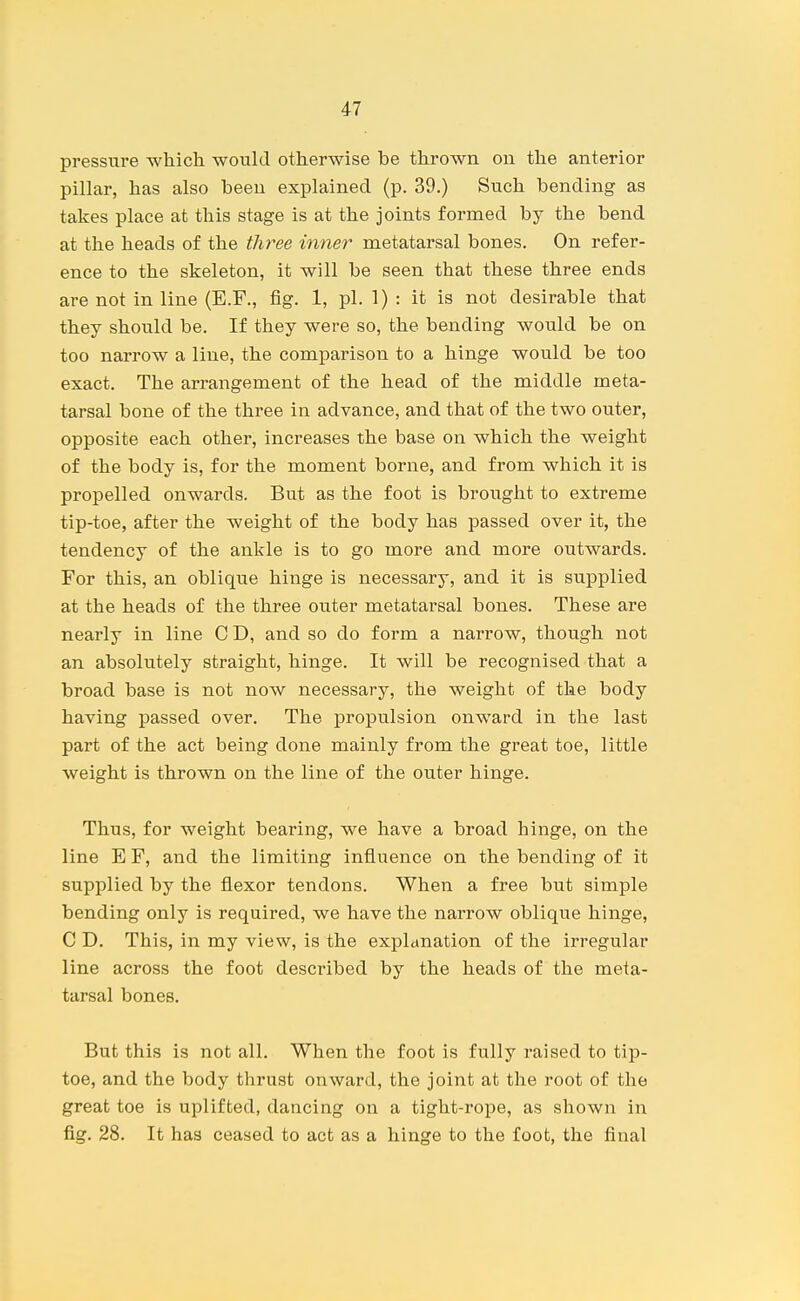 pressure which would otherwise be thrown on the anterior pillar, has also been explained (p. 39.) Such bending as takes place at this stage is at the joints formed by the bend at the heads of the three inner metatarsal bones. On refer- ence to the skeleton, it will be seen that these three ends are not in line (E.F., fig. 1, pi. 1) : it is not desirable that they should be. If they were so, the bending would be on too narrow a line, the comparisoii to a hinge would be too exact. The arrangement of the head of the middle meta- tarsal bone of the three in advance, and that of the two outer, opposite each other, increases the base on which the weight of the body is, for the moment borne, and from which it is propelled onwards. But as the foot is brought to extreme tip-toe, after the weight of the body has passed over it, the tendency of the ankle is to go more and more outwards. For this, an oblique hinge is necessary, and it is supplied at the heads of the three outer metatarsal bones. These are nearly in line C D, and so do form a narrow, though not an absolutely straight, hinge. It will be recognised that a broad base is not now necessary, the weight of the body having passed over. The propulsion onward in the last part of the act being done mainly from the great toe, little weight is thrown on the line of the outer hinge. Thus, for weight bearing, we have a broad hinge, on the line E F, and the limiting influence on the bending of it supplied by the flexor tendons. When a free but simple bending only is required, we have the narrow oblique hinge, C D. This, in my view, is the explduation of the irregular line across the foot described by the heads of the meta- tarsal bones. But this is not all. When the foot is fully raised to tip- toe, and the body thrust onward, the joint at the root of the great toe is uplifted, dancing on a tight-rope, as shown in fig. 28. It has ceased to act as a hinge to the foot, the final