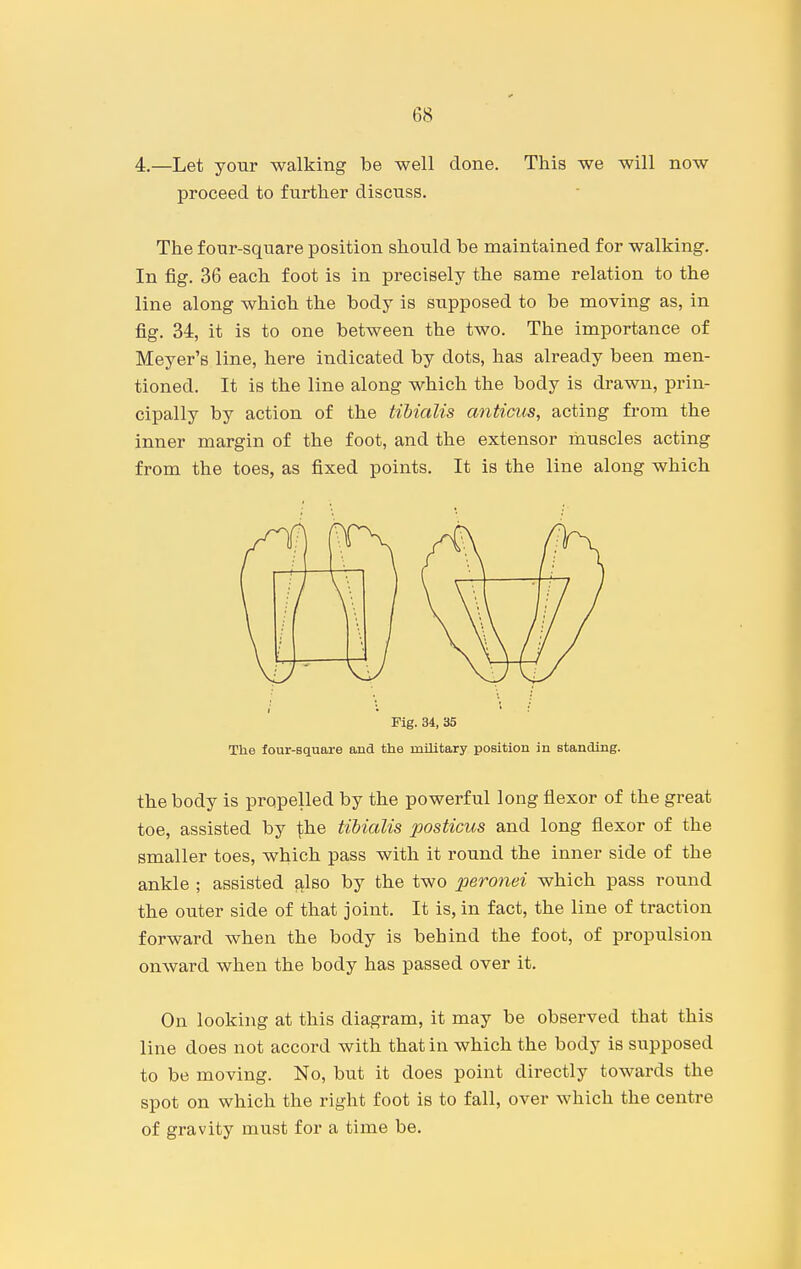 4.—Let your walking be well done. This we will now proceed to further discuss. The four-square position should be maintained for walking. In fig. 36 each foot is in precisely the same relation to the line along which the body is supposed to be moving as, in fig. 34, it is to one between the two. The importance of Meyer's line, here indicated by dots, has already been men- tioned. It is the line along which the body is drawn, prin- cipally by action of the tibialis anticus, acting from the inner margin of the foot, and the extensor muscles acting from the toes, as fixed points. It is the line along which Fig. 34, 35 The four-square and the military position in standing. the body is propelled by the powerful long flexor of the great toe, assisted by i^he tibialis posticus and long flexor of the smaller toes, which pass with it round the inner side of the ankle ; assisted also by the two peronei which pass round the outer side of that joint. It is, in fact, the line of traction forward when the body is behind the foot, of propulsion onward when the body has passed over it. On looking at this diagram, it may be observed that this line does not accord with that in which the body is supposed to be moving. No, but it does point directly towards the spot on which the right foot is to fall, over which the centre of gravity must for a time be.