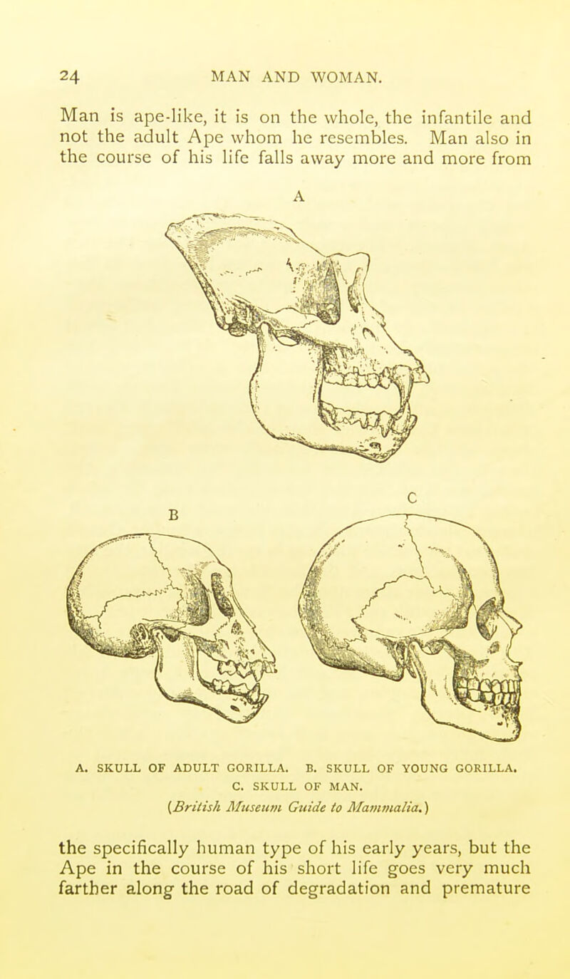 Man is ape-like, it is on the whole, the infantile and not the adult Ape whom he resembles. Man also in the course of his life falls away more and more from A A. SKULL OF ADULT GORILLA. B. SKULL OF YOUNG GORILLA. C. SKULL OF MAN. {British Museum Guide to Mammalia.) the specifically human type of his early years, but the Ape in the course of his short life goes very much farther along the road of degradation and premature