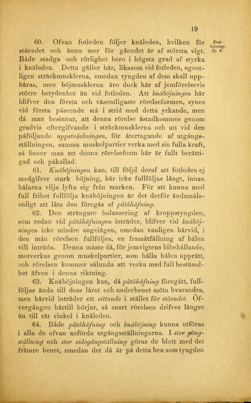 60. Ofvan fotleden följer knäleden, hvilken för på- ståendet och ännu mer för gåendet är af största vigt. M 8. Både stadga och rörlighet bero i högsta grad af styrka i knäleden. Detta gäller här, likasom vid fotleden, egent- ligen sträckmusklerna, emedan tyngden af dem skall upp- bäras, men böjmusklerna äro dock här af jemförelsevis större betydenhet än vid fotleden. Att knäböjningen här blifver den första och väsentligaste rörelseformen, synes vid första påseende stå i strid med detta yrkande, men då man besinnar, att denna rörelse åstadkommes genom gradvis eftergifvande i sträckmusklerna och att vid den påföljande uppsträckningen, för återtagande af utgångs- ställningen, samma muskelpartier verka med sin fulla kraft, så finner man att denna rörelseform här är fullt berätti- gad och påkallad. 61. Knäböjningen kan, till följd deraf att fotleden ej medgifver stark böjning, här icke fullföljas långt, innan hälarna vilja lyfta sig från marken. För att kunna med full frihet fullfölja knäböjningen är det derför ändamåls- enligt att låta den föregås af pätåhäfning. 62. Den strängare balansering af kroppstyngden, som redan vid påtåhäfningen inträder, blifver vid knäböj- ningen icke mindre angelägen, emedan vanligen härvid, i den mån rörelsen fullföljes, en framåtfällning af bålen vill inträda. Denna måste då, för jemvigtens bibehållande, motverkas genom muskelpartier, som hålla bålen upprätt, och rörelsen kommer sålunda att verka med full bestämd- het äfven i denna riktning. 63. Knäböjningen kan, åk pätåhäfning föregått, full- följas ända till dess låret och underbenet möta hvarandra, men härvid inträder ett sittande i stället för ståendet. Of- vergången härtill börjar, så snart rörelsen drifves längre än till rät vinkel i knäleden. 64. Både pätåhäfning och knäböjning kunna utföras i alla de ofvan anförda utgångsställningarna. I stor gång- ställning och stor sidogång ställning göras de blott med det främre benet, emedan det då är på detta ben som tyngden