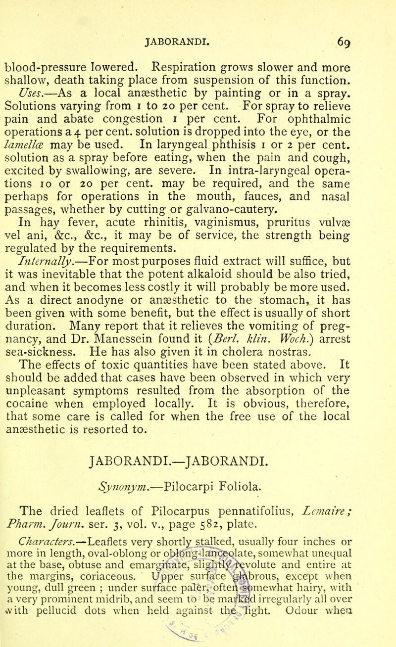 blood-pressure lowered. Respiration grows slower and more shallow, death taking place from suspension of this function. Uses.—As a local anaesthetic by painting or in a spray. Solutions varying from i to 20 per cent. For spray to relieve pain and abate congestion i per cent. For ophthalmic operations a 4 percent, solution is dropped into the eye, or the laniellcB may be used. In laryngeal phthisis i or 2 per cent, solution as a spray before eating, when the pain and cough, excited by swallowing, are severe. In intra-laryngeal opera- tions 10 or 20 per cent, may be required, and the same perhaps for operations in the mouth, fauces, and nasal passages, whether by cutting or galvano-cautery. In hay fever, acute rhinitis, vaginismus, pruritus vulvae vel ani, &c., &c., it may be of service, the strength being regulated by the requirements. Internally,—For most purposes fluid extract will suffice, but it was inevitable that the potent alkaloid should be also tried, and when it becomes less costly it will probably be more used. As a direct anodyne or anaesthetic to the stomach, it has been given with some benefit, but the effect is usually of short duration. Many report that it relieves the vomiting of preg- nancy, and Dr. Manessein found it {BerL klin, Woch.) arrest sea-sickness. He has also given it in cholera nostras. The effects of toxic quantities have been stated above. It should be added that cases have been observed in which very unpleasant symptoms resulted from the absorption of the cocaine when employed locally. It is obvious, therefore, that some care is called for when the free use of the local anaesthetic is resorted to. JABORANDI.—JABORANDI. Syiionym.—Pilocarpi Foliola. The dried leaflets of Pilocarpus pennatifolius, Lcmaire; Pharm, Journ. ser. 3, vol. v., page 582, plate. Characters.—Leaflets very shortly stalked, usually four inches or more in length, oval-oblong or oblong-lanceolate, somewhat unequal at the base, obtuse and emarginate, slightly rcvolute and entire at the margins, coriaceous. Upper surface -^i^brous, except when young, dull green ; under surface paler, ofteA^spmewhat hairy, with a very prominent midrib, and seem to be mar^d irregularly all over *vith pellucid dots when held against thje,light. Odour wheu