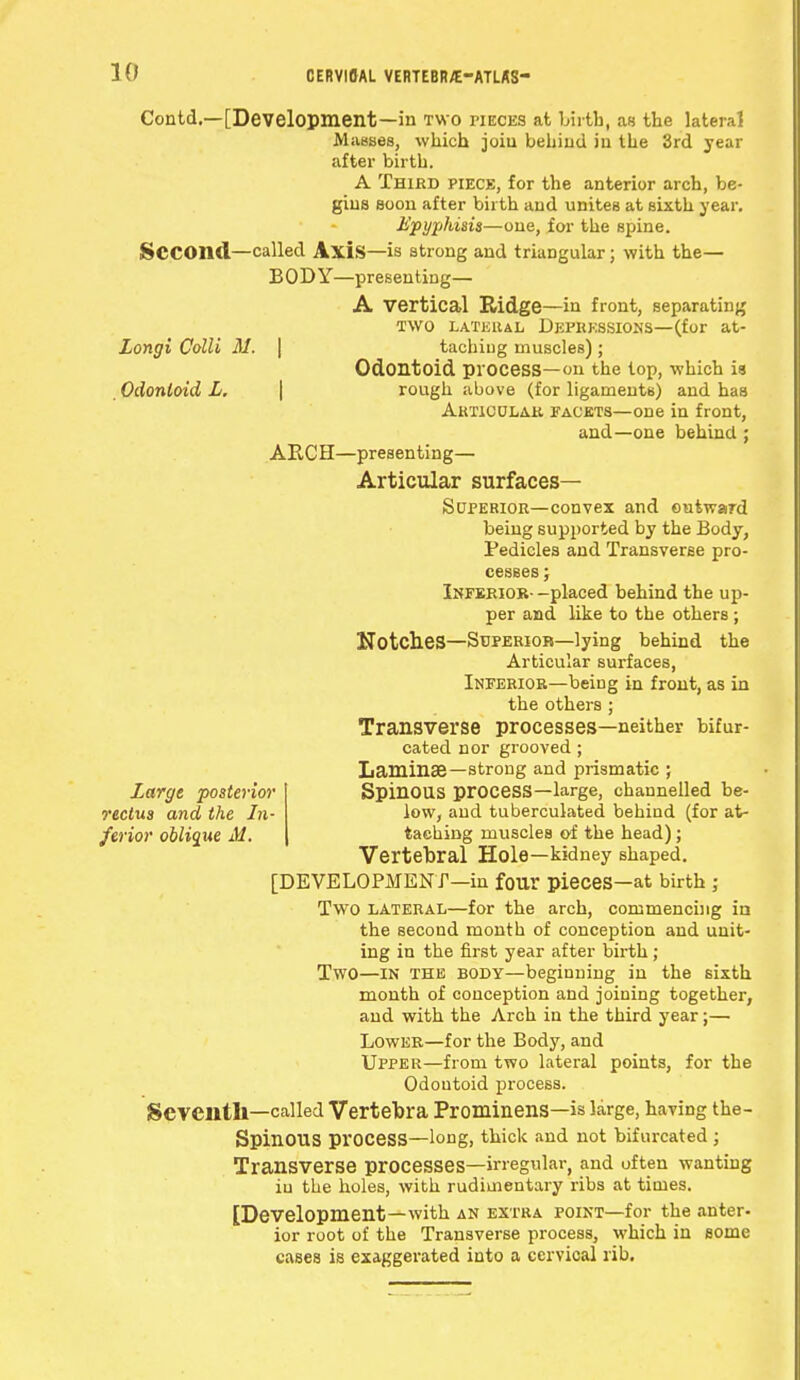 Contd.—[Development—in two pieces at liirtb, as the lateral Masses, which joiu behind iu the 3rd year after birth. A Third piece, for the anterior arch, be- gins soon after birth and unites at sixth year. Epypkisis—one, for the spine. SCCOnd—called Axis—is strong and triaDgular; with the— BODY—presenting— A Vertical Ridge—in front, separating two lateral Depressions—(for at- Longi Colli 31. | tachiug muscles) ; Odontoid process—on the top, which is Odontoid L. rough above (for ligaments) and has Articular facets—one in front, and—one behind ; ARCH—presenting— Articular surfaces— Superior—convex and outward being supported by the Body, Pedicles and Transverse pro- cesses ; Inferior- -placed behind the up- per and like to tbe others ; Notches—Superior—lying behind the Articular surfaces, Inferior—being in front, as in the others ; Transverse processes—neither bifur- cated nor grooved ; Laminae—strong and prismatic Large posterior rectus and the In- ferior oblique M. Spinous process—large, channelled be- low, and tuberculated behind (for at- taching muscles of the head); Vertebral Hole—kidney shaped. [DEVELOPMENT—in four pieces—at birth ; Two lateral—for the arch, commencing in the second month of conception and unit- ing in the first year after birth; Two—in the body—beginning in the sixth month of conception and joining together, and with the Arch in the third year;— Lower—for the Body, and Upper—from two lateral points, for the Odontoid process. Seventh—called Vertebra Prominens—is large, having the- SpinOUS process—long, thick and not bifurcated ; Transverse processes—irregular, and often wanting iu the holes, with rudimentary ribs at times. [Development—with an extra point—for the anter- ior root of the Transverse process, which in some cases is exaggerated into a cervical rib.