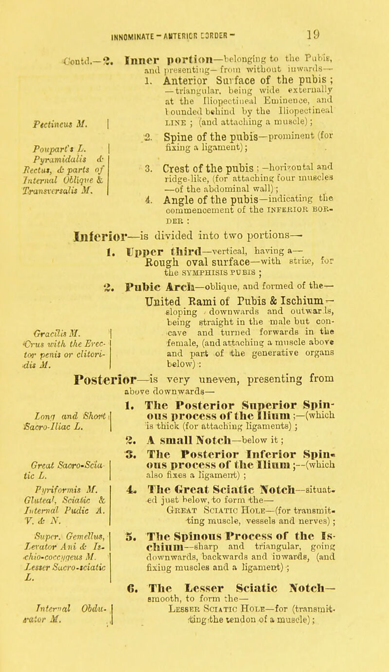 C'ontd.-2. Ptctineus M. Poupart's L. Pyram.ida.lis <£• Pectus, Mparts of Internal Oblique k Transvcrsalis M. Inner portion—belonging to the Pubis, and presenting— from without inwards— 1. Anterior Surface of the pubis ; — triangular, being wide externally at the Iliopeetiueal Eminence, and I ounded behind by the Iliopectineal line ; (and attaching a muscle); 2. Spine of the pubis—prominent (for fixing a ligament); 3. i. Gracilis M. •Crus with, the Erec- tor penis or clitori- ■dis M. Lont and Short Sacro-Iliac L. Great Sacro-Scia- tic L. P>/riformis M. Gluteal, Sciatic & Internal Pudie A. V. 6 N. Super. Gemellus, levator Ani cfc Is. <kio-coccijqe\is M. lesser Sucro.sciatic L. Internal faior M. Crest of the pnbis ; -horizontal and ridge-like, (for attaching four muscles —of the abdominal wall); Angle Of the pubis—indicating the commencement of the inferior bor- der : Inferior—is divided into two portions— 1. Upper third—vertical, having a— Rough oval surface—with stria-, for the SYMPHISIS PUBIS ; 2. PuMc Arcll—oblique, and formed of the— United Rami of Pubis & Ischium— eloping downwards and outw.ar Is, being straight in the male but con- cave and turned forwards in the female, (and attaching a muscle above and part of the generative organs below) Posterior—is very uneven, presenting from above downwards— 1. The Posterior Superior Spin- ous process of the Ilium;—(which 'is-thick (for attaching ligaments); 2. A small Notch—below it; 3. The Posterior Inferior Spin« ous process of the Ilium;—(which also fixes a ligament) ; 4. The Great Sciatic Notch—situat- ed just below, to form the— Great Sciatic Hole—(for transmit- ting muscle, vessels and nerves); 5. The Spinous Process of the Is- chium—sharp and triangular, going downwards, backwards and inwards, (and fixing muscles and a ligament); G. The Lesser Sciatic Notch- smooth, to form the— Lesser Sciatic Hole—for (transmit- ting'the tendon of a muscle); Obdu-