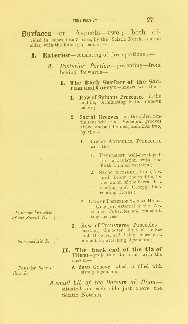 Surfaces—or Aspects—two ;—both di- vided in bones, into 3 parts, by the Sciatic Notches on the sides, with the Pubic gap before; — I. Exterior—consisting of three portions ;— A. Posterior Portion—presenting—from behind forwards— I. The Back Surface of the Sac- rum asid Coccyx—uneven with the— 1. Row of Spinous Processes—in the middle, terminating in the GROOVE below; 2. Sacral Grooves—on the sides, con- tinuous with the Vertebral grooves above, and subdivided, each into two, by the— 1. Eow of Articular Tubercles, with the— 1. Uppermost well-developed, for articulation with the Fifth Lumbar vertebra; 2. Sacro-coccygf.al Hole, for- med below the middle, by the union of the Sacral des- cending and Coccygeal as- cending Horns ; 2. Line op Postebior Sacral Holes —lying just external to the Ar- ticular Tubercles, and transmit- ting nerves : 3. Eow of Transverse Tubercles— marking the outer limit of the Sa- cral Grooves, and being more pro. minent for attaching ligaments ; II. The back end of the Ala of Ililim—projecting, to form, with the sacrum— Posterior Sacro. I A deep Groove—which is filled with. i7tuc L. I strong ligaments. A small bit of the Dorsum of Ilium— situated on each side juBt above the Sciatic Notches. Posterior brandies of the Sacral N. . Sacro-tciatic L,