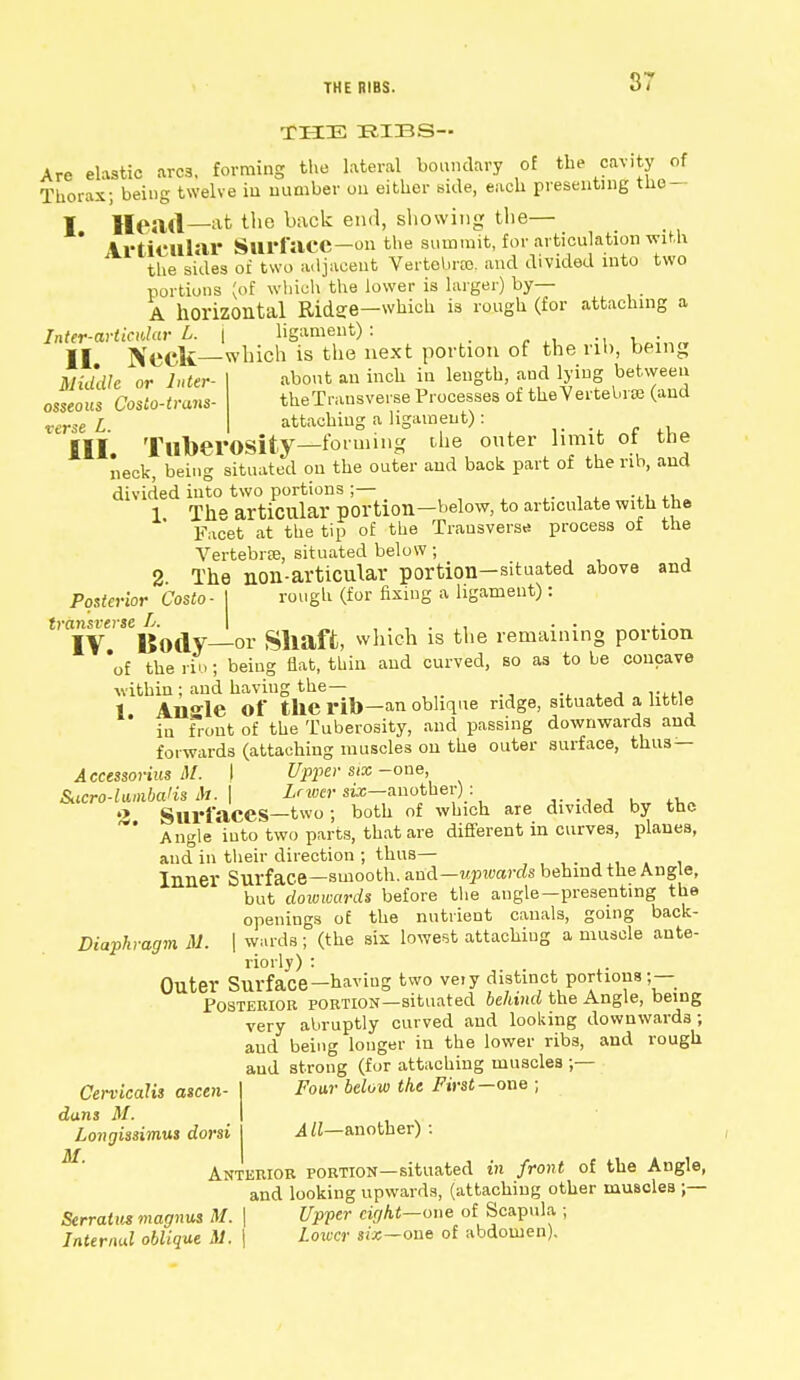 THE BIBS. THE RIBS— Are elastic arcs, forming the lateral boundary of the cavity of Thorax; being twelve in number on either side, each presenting tho- ¥ Head—&t the back end, showing the—  IrtiCUlar Surface—on the summit, for articulation with the sides of two adjacent Vertebra), and divided into two portions (of which the lower is larger) by— A horizontal Ridee—which is rough (for attaching a Inter-arlieidar L. | ligament): II Neck—which is the next portion of the rib, being Middle or Inter- about an inch iu length, and lying between osseous Cosio-trans- theTransve.se Processes of theVertebra (and verse L attaching a ligament) : III. Tuberosity—forming the outer limit of the neck, being situated on the outer and back part of the rib, and divided into two portions ;— 1 The articular portion—below, to articulate with the Facet at the tip of the Transverse process of the Vertebra, situated below; 2 The non-articular portion—situated above and Posterior Costo- I rough (for fixing a ligament) : transverse L. IV Body—or Shaft, which is the remaining portion of the rib ; being flat, thin and curved, so as to be concave within ; and having the— 1. Allgle Of the rib-an oblique ridge, situated a little in front of the Tuberosity, and passing downwards and forwards (attaching muscles on the outer surface, thus — Accessorius M. \ Upper six-one, &tcro-Umbalis to. \ Lcwer six—another) : 2 Surfaces—two ; both of which are divided by the  Angle into two parts, that are different in curves, planes, and in their direction ; thus— _ Inner Surface—smooth, arid—upwards behind the Angle, but dowwards before the angle—presenting the openings of the nutrient canals, going back- Diaphragm M. | wards ; (the six lowest attaching a muscle ante- riorly) : Outer Surface-having two ve.y distinct portions ;— Posterior portion—situated behind the Angle, being very abruptly curved and looking downwards ; and being longer in the lower ribs, and rough and strong (for attaching muscles ;- CervicaUs ascen- dans M. Longissimus dorsi Four below the First—one*; A11—another) : M Anterior portion—situated in front of the Angle, and looking upwards, (attaching other muscleB ;— Serralus magnus M. \ Upper eight—one of Scapula ; Inter/ml oblique M. \ Lower six-one of abdomen).