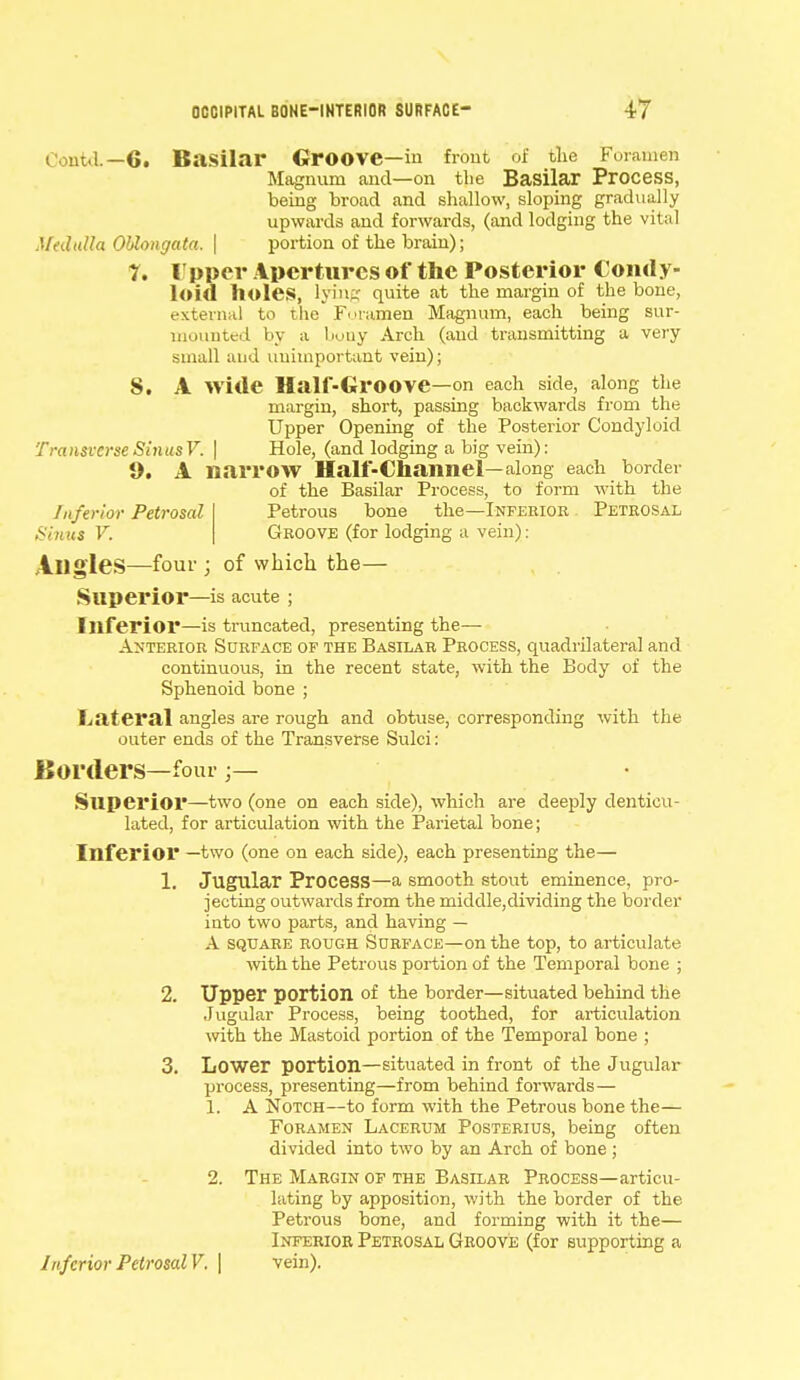 I U1.1.—6. Basilar Groove—in front of the Foramen Magnum and—on tlie Basilar Process, being broad and shallow, sloping gradually upwards and forwards, (and lodging the vital Medulla Oblongata. | portion of the brain); 7. Upper Apertures of the Posterior Condy- loid holes, lying quite at the margin of the bone, external to the Foramen Magnum, each being sur- mounted by a bony Arch (and transmitting a very small and uuimportant vein); 8. A Wide Half-Groove—on each side, along the margin, short, passing backwards from the Upper Opening of the Posterior Condyloid Transverse Sinus V. | Hole, (and lodging a big vein): 9. A narrow Half-Channel—along each border of the Basilar Process, to form with the Inferior Petrosal Sinus V. Petrous bone the—Inferior Petrosal Groove (for lodging a vein): Angles—four ; of which the— Superior—is acute ; Inferior—is truncated, presenting the— Anterior Surface of the Basilar Process, quadrilateral and continuous, in the recent state, with the Body of the Sphenoid bone ; Lateral angles are rough and obtuse, corresponding with the outer ends of the Transverse Sulci: Borders—four ;— Superior—two (one on each side), which are deeply denticu- lated, for articulation with the Parietal bone; Inferior —two (one on each side), each presenting the— 1. Jugular Process—a smooth stout eminence, pro- jecting outwards from the middle,dividing the border into two parts, and having — A square rough Surface—on the top, to articulate with the Petrous portion of the Temporal bone ; 2. Upper portion of the border—situated behind the .Jugular Process, being toothed, for articulation with the Mastoid portion of the Temporal bone ; 3. Lower portion—situated in front of the Jugular process, presenting—from behind forwards— 1. A Notch—to form with the Petrous bone the— Foramen Lacerum Posterius, being often divided into two by an Arch of bone ; 2. The Margin of the Basilar Process—articu- lating by apposition, with the border of the Petrous bone, and forming with it the— Inferior Petrosal Groove (for supporting a Inferior Petrosal V. | vein).