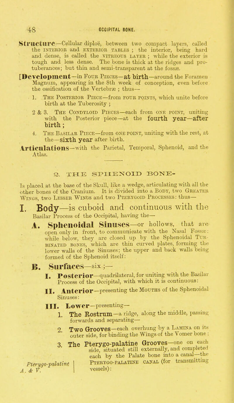 Structure—Cellular diploc, between two compact layers, called the interior and exterior tables ; the interior, being hard and dense, is called the vitreous layer ; while the exterior is tough and less dense. The bone is thick at the ridges and pro- tuberances ; but thin and semi-transparent at the fossae. [Development—in Four Pieces—at birth—around the Foramen Magnum, appearing in the 8th week of conception, even before the ossification of the Vertebra) ; thus— 1. The Posterior Piece—from four points, which unite before birth at the Tuberosity ; 2 & 3. The Condyloid Pieces—each from one point, uniting with the Posterior piece—at the fourth year—after birth; 4. The Basilar Piece—from one point, uniting with the rest, at the—sixth year after birth. Articulations—with the Parietal, Temporal, Sphenoid, and the Atlas. 3. THE SPHENOID BONE- Ts placed at the base of the Skull, like a wedge, articulating with all the other bones of the Cranium. It is divided into a Body, two Greater Wings, two Lesser Wings and two Pterygoid Processes : thus— I. Body—is cuboid and continuous with the Basilar Process of the Occipital, having the— A. Sphenoidal Sinuses—or hollows, that am open only in front, to communicate with the Nasal Fossae: while below, they are closed up by the Sphenoidal Tur- binated bones, which are thin curved plates, forming the lower walls of the Sinuses; the upper and back walls being formed of the Sphenoid itself: 1$. Surfaces—six I. Posterior—quadrilateral, for uniting with the Basilar Process of the Occipital, with which it is continuous: II. Anterior—presenting the Mouths of the Sphenoidal Sinuses: III. Lower—presenting— 1. The Rostrum—a ridge, along the middle, passing forwards and separating— 2 Two Grooves—each overhung by a Lamina on its outer side, for binding the Wings of the Vomer bone : 3 The Pterygopalatine Grooves—one on each side, situated still externally, and completed each by the Palate bone into a canal—the Pterygo-palaline A. ic V. Pterygopalatine canal (for transmitting vessels):