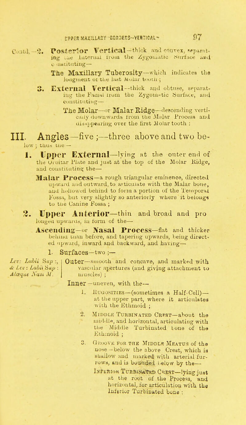 Coat4, Posterior Vertical—thick uml convex, sppamt- ing we Internal from the Zygomatic .Surface ami C 'llSUtutillg— Tne Maxillary Tuberosity—which indicates the lougmeut 01 the last Molar tmali ; 3. External Vertical—thick and obtu»e, separat- iiig the Facial Hum the Zygomatic Surface, and. constituting— Tile Molar—or Malar Ridge—descending verti- cally downwards from ttie Malar Process and. disappearing over the first Molar tooth : III. Angles—five ;—three above and two be- low ; tilua Diie — 1. Upper External—lying at the outer end of the uioitar Plate and just at the top of the Molar Kidge, and constituting the— Malar Process—a rough triangular eminence, directed upward and outward, to articulate with the Malar bone, and hollowed behind to form a portion of the Temporal Fossa, but very slightly so anteriorly where it belong* to tne Canine Fossa ; 2. Upper Anterior—thin and broad and pro longed upwards, iu form of the— Ascending-—or Nasal Process—flat and thicker behind tnau before, and tapering upwards, being direct' ed upward, inward and backward, and having— 1- Surfaces—two ;— Outer—smooth and concave, and marked with vascular apertures (and giving attachment to muscles) ; Inner —uneven, with the— 1. liuuosrriES—(sometimes a Half-Cell)— at the upper part, where it articulates with the Ethmoid ; 2. Middle Turbinated Crfst—about the middle, and horizontal, articulating with the Middle Turbinated lone of the Ethmoid ; 3. Giuiove for the Middlr Meatus of tha nose -below the above Crest, which is sUallow and marked with arterial fur- rows, and is bounded l.elow by the— Inferior Turbinated Chest—lying just at the root of the Process, and horizontal, for articulation with the Inferior Turbinated bune ; Lev: Lubii Sap : a- Lev: Lubii Sup