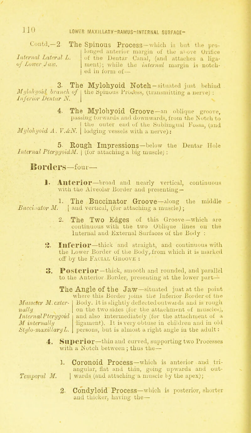 Contil.—2 The Spinous Process -which is but, the pro- lunged anterior margin of the al>ove Orifice of the Dentar Canal, (and attaches a liga- ment); while the internal margin ia notch- ed in ionn of— Inter mil Lateral L of Luivcv Jaw. 3- The Mylohyoid Notch-situated just behind Mylohyoid, branch of | the [Spinous Process, (transmitting a uervej : Inferior Dentar N. \ 4. The Mylohyoid Groove—an oblique groove, passing forwards and downwards, from the Notch to I the outer end of the .Sublingual Fossa, (and Mylohyoid A. V.&N. j lodging vessels with a nerve); 5- Rough Impressions—below the Dentar Hole Internal PtcryyoidM. | (for attaching a big muscle) : Borders—four— ]• Anterior—broad and nearly vertical, continuous with the Alveolar Border and presenting— 1. The Buccinator Groove—along the middle Buccinator M. \ and vertical, (for attaching a muscle j; 2. The Two Edges of this Groove—which are continuous with the two Oblique lines on the Internal and External Surfaces of the Body : %. Inferior—thick and straight, and continuous with the Lower Border of the Body, from which it is marked oft' by the Facial Guoove : 3. Posterior—thick, smooth and rounded, and parallel to the Anterior Border, presenting at the lower part— The Angle Of the Jaw—situated just at the point where this Border joins the Inferior Border of the Masseter M. exter- nally Internal P tcrye/okl M internally Stylo-maxillary L. Body, it is slightly deflectedoutw.uds and is rough on the two sides (for the attachment of musi and also intermediately (for the attachment, of a ligament). It is very obtuse in children and in old persons, but is almost a right angle in the adult: 4. Superior—thin aud curved, supporting two Processes with a .Notch between ; thus the— 1. Coronoid Process—which is anterior and tri- angular, flat and thin, going upwards and out- Tcmporal M. | wards (aud attaching a muscle by the apex); % Condyloid Process—which is posterior, shorter and thicker, having the—
