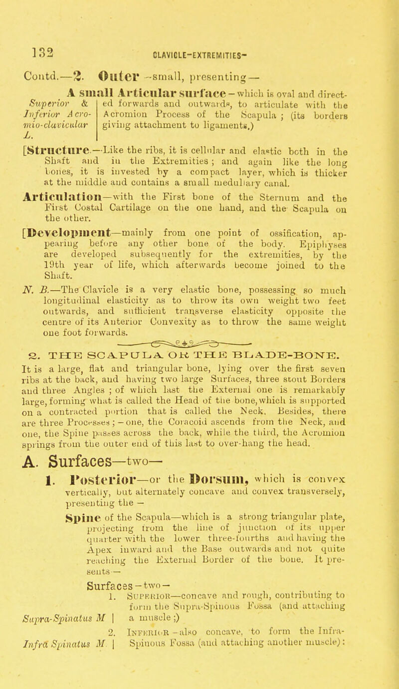 CLAVICLE-EXTREMITIES Contd.—2. Outer -small, presenting — A Small Articular Surface-which is oval and direct- ed forwards and outwards, to articulate with the Acromion Process of the Scapula ; (its borders giving attachment to ligaments.) Superior & Inferior A cro- viio-clavictdur L. [Structure—Like the ribs, it is cellular and elastic bcth in the Shaft and in the Extremities ; and again like the long bones, it is invested by a compact layer, which is thicker at the middle and contains a small medullary canal. Articulation—with the First bone of the Sternum and the First Costal Cartilage on the one hand, and the Scapula on the other. [Development—mainly from one point of ossification, ap- pearing before any other bone of the body. Epiphyses are developed subsequently for the extremities, by the 19th year of life, which afterwards become joined to the Shaft. N. B.—The Clavicle is a very elastic bone, possessing so much longitudinal elasticity as to throw its own weight two feet outwards, and sufficient transverse elasticity opposite the centre of its Anterior Convexity as to throw the same weight one foot forwards. 8. THE SCA.PULA. OU THE BLA.DB-BONE. It is a large, flat and triangular bone, lying over the first seven ribs at the back, and having two large Surfaces, three stout Borders and three Angles ; of which last the External one is remarkably large, forming what is called the Head of the bone, which is supported on a contracted portion that is called the Meek. Besides, there are three Processes ;—one, the Coracoid ascends from the Neck, and one, the Spine passes across the back, while the third, the Acromion springs from the outer end of this last to over-hang the head. A. Surfaces—two— 1. Posterior—or the Dorsum, which is convex vertically, but alternately concave and convex transversely, presenting the — SpillC of the Scapula—which is a strong triangular plate, projecting from the line of junction of its upper quarter with, the lower three-fourths and having the Apex inward and the Base outwards and not quite reaching the External Border of the bone. It pre- sents— Surfaces-two — 1. SuPKHIor—concave and rough, contributing to form the Supra-Spiuous Fossa (and attaching Supra-Spinat us M | a muscle ;) 2. IufkhK'R - also concave, to form the Infra- Infra Spinatus M | Spinous Fossa (anil attaching another muscle):