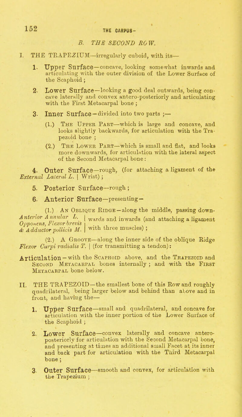 THE 0ARPU8- B. THE SECOND RO W. I. THE TRAPEZIUM—irregularly cuboid, with its— 1. Upper Surface—concave, looking somewhat inwards and articulating with the outer division of the Lower Surface of the Scaphoid; 2- Lower Surface—looking a good deal outwards, being con- cave laterally and convex antero-posteriorly and articulating with the First Metacarpal bone j 3- Inner Surface —divided into two parts ;— (1.) The Upper Part—which is large and concave, and looks slightly backwards, for articulation with the Tra- pezoid bone ; (2.) The Lower Part—which is small and flat, and looks more downwards, for articulation with the lateral aspect of the Second Metacarpal bone : 4- Outer Surface—rough, (for attaching a ligament of the External Lateral L. \ Wrist); 5. Posterior Surface—rough; 6. Anterior Surface—presenting - (1.) An Oblique Ridge-along the middle, passing down- Anterior Annular L. | WArds aud imvards (and attaching a ligament Opponens, tUxor brevis i & Adductorpollicis M. | Wlth three muscles) ; (2.) A Groove—aloug the inner side of the oblique Ridge Flexor Carpi radialis T. | (for transmitting a tendon): Articulation— with the Scaphoid above, and the Trapezoid and Second Metacarpal bones internally ; and with the First Metacarpal bone below. II. THE TRAPEZOID—the smallest bone of this Row and roughly quadrilateral, being larger below and behind than above and in front, and having the— 1. Upper Surface—small and quadrilateral, and concave for articulation with the inner portion of the Lower Surface of the Scaphoid ; 2. Lower Surface—convex laterally and concave antero- posteriorly for articulation with the Second Metacarpal bone, and presenting at times an additional small Facet at its inner and back part for articulation with the Third Metacarpal bone; 3. Outer Surface—smooth and convex, for articulation with the Trapezium ;