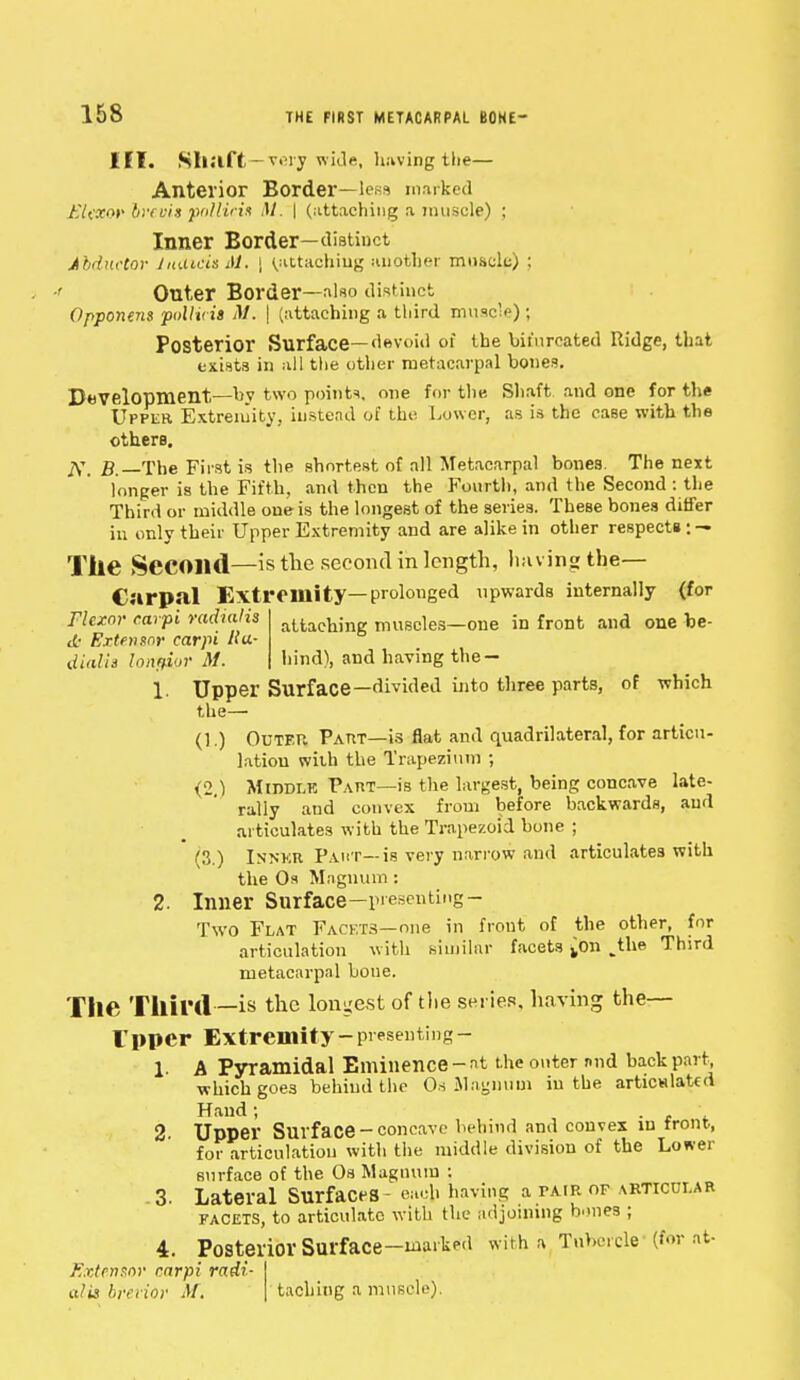 MI. Shaft—very wide, having the— Anterior Border—lens marked Eltxor ircvit pollicis M. | (attaching a muscle) : Inner Border—distinct Abductor JuaicUM. | (attaching another muscle) ; ' Outer Border—also distinct Opponent poliicis M. | (attaching a third muscle); Posterior Surface—devoid of the bifurcated Ridge, that exists in all the other metacarpal bones. Development—by two points, one for the Shaft and one for the Upper Extremity, instead of the Lower, as is the ease with the others. jft B The First is the shortest of all Metacarpal bones. The next longer is the Fifth, and then the Fourth, and the Second : the Third or middle one is the longest of the series. These bones differ in only their Upper Extremity and are alike in other respects ; — Tile Second—is the second in length, having the— Carpal Extremity—prolonged upwards internally {for Flexor carpi radialis aUach;ng muscles—one in front and one be- JL- Extensor carpi «u- dialis longior M. hind), and having the- 1. Upper Surface—divided into three parts, of which the— (1.) Outer Part—is flat and quadrilateral, for articu- lation with the Trapezium ; (2,j Middle Part—is the largest, being concave late- rally and convex from before backwards, and articulates with the Trapezoid bone ; (3.) Inner Paut— is very narrow and articulates with the Os Magnum : 2. Inner Surface—presenting - Two Flat Facets—one in front of the other, for articulation with similar facets ^on .the Third metacarpal bone. The Third —is the longest of the series, having the— Tppcr Extremity-presenting- 1. A Pyramidal Eminence-at the outer mid back part, which goe3 behind the Os Magnum in the articulated Hand ; 2. Upper Surf ace - concave behind and convex in front, for articulation with the middle division of the Lower surface of the Os Magnum : 3. Lateral Surfaces - eaeh having a fair of articular facets, to articulate with the adjoining bones ; 4. Posterior Surface-marked with a Tubercle* (for at- Extensor carpi radi- al is brevier t\f. tacbing a muscle).