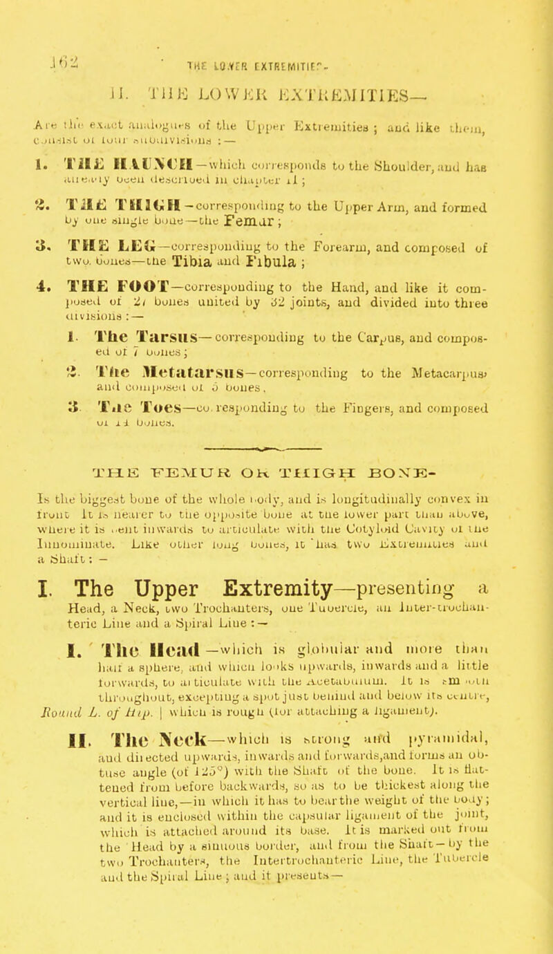 1HF. LO.VrR rXTP.tMITIE. 11 TUB LOWKK EXTREMITIES— Are the exact analogues of the Upper Extremities ; aud like them, consist oi tour oiiouivisions : — 1. Till: flti.MH -which corresponds to the Shoulder, and has auea'iy uoeu desci'loed in chanter il ; £. T2IE THIUH-corresponding to the Upper Ann, and formed by out single bone — the FeUliir ; «J« THE LEG—corresponding to the Forearm, and composed of two. bones—tne Tibia and Fibula ; 4. THE FOOT— corresponding to the Hand, and like it com- posed of ti bones united by 62 joints, and divided into three divisions : — 1. The Tarsus—corresponding to the Carpus, and compos- ed of 7 bones; 8. Tlie Metatarsus — corresponding to the Metacarpus) and ComposeiI oi u bones. 15 Tile Toes—co.responding to the Fingers, and composed w il bones. THIS FEMUR OK TfXI&Hl BOXE- Ls the biggest bone of the whole body, and is longitudinally convex in front It. h> nearer to the opposite bone at tlie lower part Uiau above, wbeie it is ..ent inwards to articulate with tlie Cotyloid Cavity oi me Innominate. Like other long bones, it has two Extremities and a Shaft; I The Upper Extremity—presenting a Head, a Neck, two Trochanters, one Tubercle, an Inter-trochan- teric Line and a Spiral Liue : — I. lilC llCiUl —which is globular and more than half a sphere, and whicu looks upwards, in wards and a lit tle forwards, to articulate with tlie Acetabulum, ft is cm 'uth throughout, excepting a spot just beniud and below its cnun-, Hound L. of hip. | whicu is rougU (1<ji attaching a ligament;. II. TIlC NeCk— which is tarong and pyramidal, aud diiected upwards, inwards and £orwards,and forius an ob- tuse angle (of l^ou) with the Shaft of the bone. It is flat- tened from before backwards, so as to be thickest along the vertical line,—in which it has to bear the weight of the body; and it is enclosed within the capsular ligament of the joint, which is attached around its base. It is marked out from the Head by a sinuous border, and from tlie Shaft—by the two Trochanters, the Intertrochanteric Line, the Tubercle aud the Spiral Line ; and it presents—