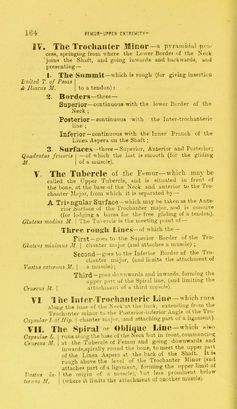 IV. The Trochanter Minor—» pyramidal pi cess, springing from where the Lower Border of the Neck joins the Shaft, and going inwards and backwards, and presenting— 1. The Summit—which is rough (for giving insertion Jjnited T. of Psoas & Iltacus M. to a tendon): 2. Borders—three- Superior—continuous with the lower Border of the Neck ; Posterior— continuous witli the Inter-trochanteric line ; Inferior — continuous with the Inner Branch of the Linea Aspera on the Shaft; 3- Surfaces—three —Superior, Anterior and Posterior; Quadratus femoris | —of which the last is smooth (for the gliding M. I of a muscle). V- The Tubercle of the F^mur-which may be called die Upper Tubercle, and is situated in front of the bone, at the base of the Neck and anterior to the Tro- chanter Major, from which it is separated by— A Triangular Surface—which may be taken as the Ante- rior Surface of the Trochanter major, and is concave (for lodging a bursa for the free gliding of a tendon). Gluteus mcdius M. | The Tubercle is the meeting poiut of— Three rough Lines—of which the— First-goes to the Superior Border of the Tro- Gluteus minimus M. | chanter major (and attaches a muscle) ; Second—goes to the Inferior Border of the Tro- chanter major, (and limits the attachment of Vastus externus M, \ a muscle); Third-goes downwards and inwards, forming the upper part of the Spiral line, (and limiting the Crureus M. \ attachment of a third muscle). VI rl he liiter-Troehanteric Line—which runs along the base of the Neck at the back, extending from the Trochanter minor to r,he Posterior-inferior Angle of the Tro- Capsular Lofllip. | chanter major, (and attaching part of a ligament). VII. The Spiral <>• Oblique Line—which hIho Capsular L. I runs along the base of the Neck but in front,commencing Crureus M. | at the Tubercle of Femur and going downwards and iuwards,apiral)y round the bone, to meet the upper part of the Linea Aspera at the back of the Shaft. It is rough above the level of the Trochanter Minor (and attaches part of a ligament, forming the upper limit or Vastus in- I the origin of a muscle), \ ut leu prominent below ternut M (where it limits the attuchmeut of another muscle;.