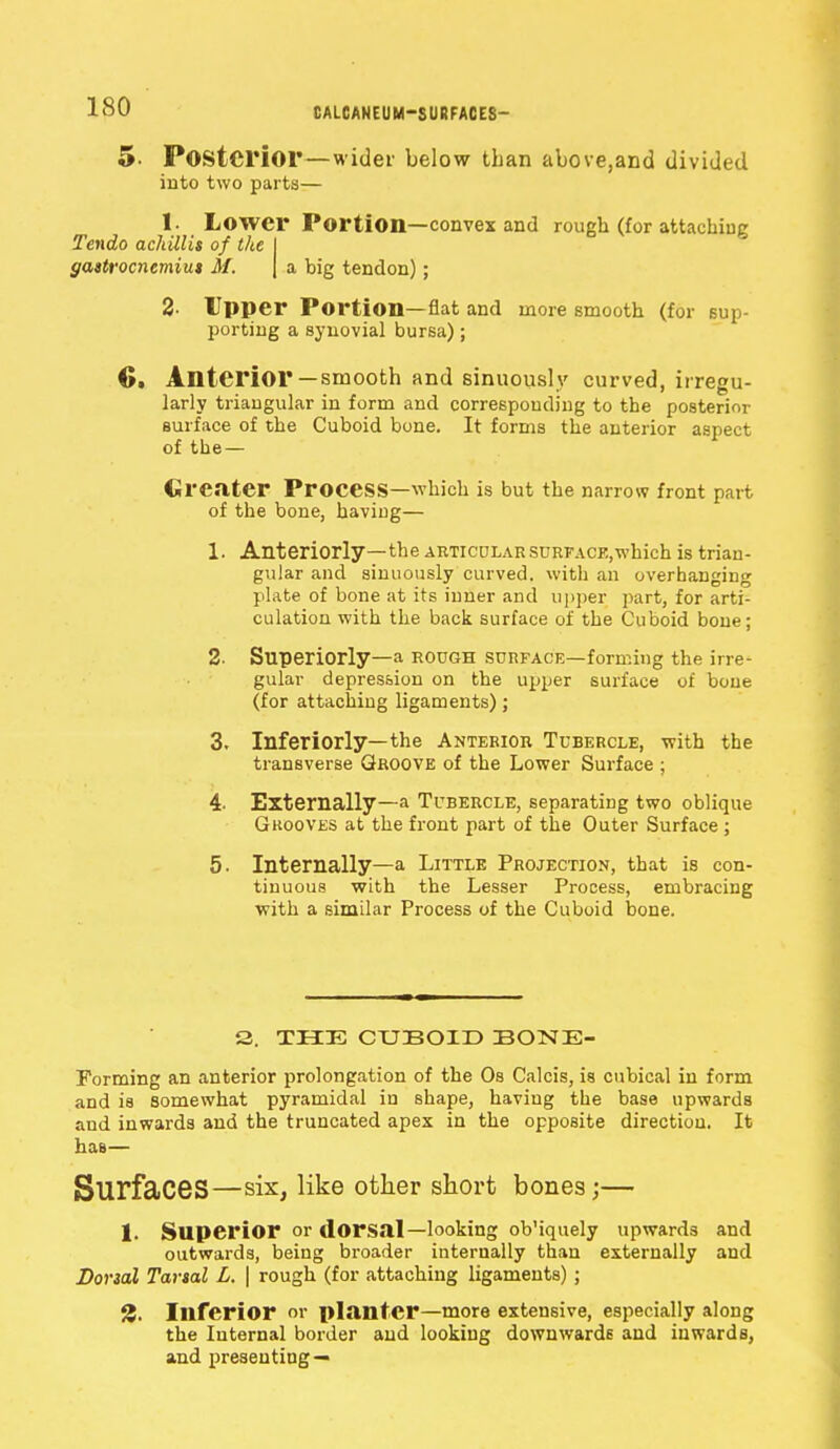 CALCflNEUM—S UR FACES— 5. Posterior—wider below than above,and divided into two parts— 1. Lower Portion—convex and rough (for attaching Tendo achillis of the I gastrocnemius M. | a big tendon); 2- Upper Portion—flat and more smooth (for sup- porting a synovial bursa); <J. Anterior—smooth and sinuously curved, irregu- larly triangular in form and corresponding to the posterior surface of the Cuboid bone. It forms the anterior aspect of the— Greater Process—which is but the narrow front part of the bone, having— 1. Anteriorly—the articular suRFACF.,which is trian- gular and sinuously curved, with an overhanging plate of bone at its inner and upper part, for arti- culation with the back surface of the Cuboid bone; 2- Superiorly—a ROUGH surface—forming the irre- gular depression on the upper surface of bone (for attaching ligaments); 3. Inferiorly—the Anterior Tubercle, with the transverse Groove of the Lower Surface ; 4. Externally—a Tubercle, separating two oblique Gkooves at the front part of the Outer Surface ; 5. Internally—a Little Projection, that is con- tinuous with the Lesser Process, embracing with a similar Process of the Cuboid bone. S. THE CUBOID BONE- Forming an anterior prolongation of the Os Calcis, is cubical in form and is somewhat pyramidal in shape, having the base upwards and inwards and the truncated apex in the opposite direction. It haB— Surfaces—six, like other short bones;— 1. Superior or dorsal—looking ob'iquely upwards and outwards, being broader internally than externally and Dorsal Tarsal L. | rough (for attaching ligaments) ; J5. Inferior or planter—more extensive, especially along the Internal border and looking downwards and inwards, and presenting —