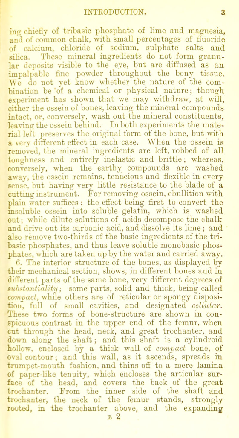 ins chiefly of tribasic phosphate of lime and magnesia, and of common chalk, with small percentages of tiuoride of calcium, chloride of sodium, sulphate salts and silica. These mineral ingredients do not form granu- lar deposits \-isible to the eye, but are diffused as an impalpable tine powder throughout the bony tissue. W e do not j'et know whether the nature of the com- bination be 'of a chemical or physical uatui-e; though experiment has shown that we may withdraw, at will, either the ossein of bones, leaving the mineral componnds intact, or, conversely, wash out the mineral constituents, leaving the ossein behind. In both experiments the mate- rial left preserves the original form of the bone, but with a ver\- diti'erent effect in each case. When the ossein is removed, the mineral iagredients are left, robbed of all toughness and entirely inelastic and brittle; whereas, conversely, when the earthy compounds are washed away, the ossein remains, tenacious and flexible in every sense, but having very little resistance to the blade of a cutting instrument. For removing ossein, ebullition with plain water suffices ; the effect being first to convert the msoluble ossein into soluble gelatin, which is washed out; while dilute solutions of acids decompose the chalk and drive out its carbonic acid, and dissolve its lime; and also remove two-thirds of the basic ingredients of the tri- basic phosphates, and thus leave soluble monobasic phos- phate.s, wfuch are taken up by the water and carried away. 6. The interior structure of the bones, as displayed by their mechanical section, shows, in different bones and in different parts of the same bone, very different degrees of suhstantiality; some parts, solid and thick, being called eiym^ad, while others are of reticular or spongy disposi- tion, full of small cavities, and designated cellalar. These two forms of bone-structure are shown in con- spicuous contrast in the upper end of the femur, when cut through the head, neck, and great trochanter, and down along the shaft; and this shaft is a cylindroid hollow, enclosed by a thick wall of compact bone, of oval contour; and this wall, as it ascends, spreads in trumpet-mouth fashion, and thins off to a mere lamina of paper-like tenuity, which encloses the articular sur- face of the head, and covers the back of the great trochanter. From the inner side of the shaft and trochanter, the neck of the femur stands, strongly rooted, in the trochanter above, and the expanding