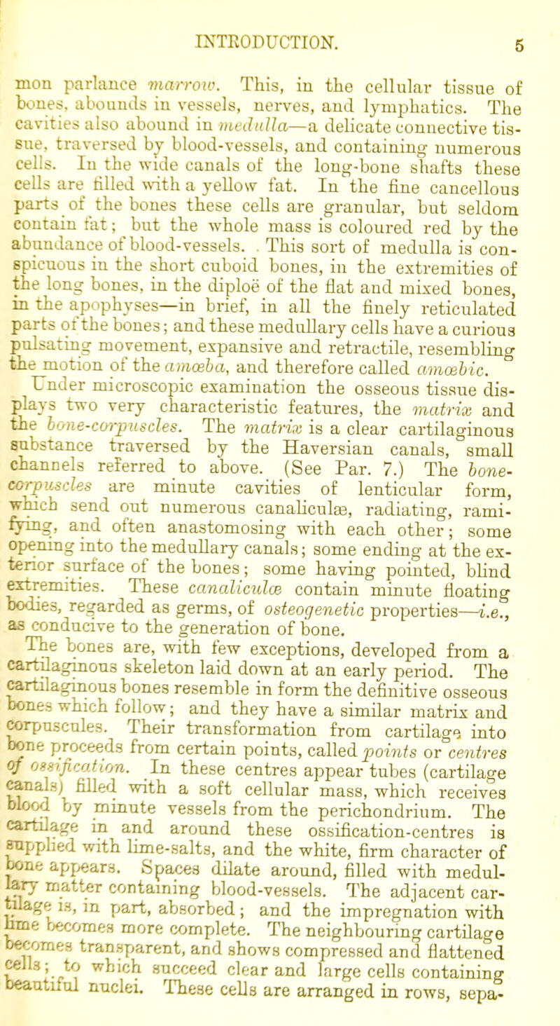 mon parlance marroio. This, in the cellular tissue of bones, abounds in vessels, nerves, and lymphatics. The cavities also abound in viednUa—a delicate connective tis- sue, traversed by blood-vessels, and containing numerous cells. In the wide canals of the long-bone shafts these cells are tilled \\-ith a yellow fat. In the fine cancellous parts of the bones these cells are granular, but seldom contain fat; but the whole mass is coloured red by the abundance of blood-vessels. , This sort of medulla is con- spicuous in the short cuboid bones, in the extremities of the long bones, in the diploe of the flat and mixed bones, in the apophyses—in brief, in all the finely reticulated parts of the bones; and these medullary cells have a curious pulsating movement, expansive and retractile, resembling the motion of the amoeba, and therefore called amoebic. Under microscopic examination the osseous tissue dis- plays two very characteristic features, the matrix and the bone-corpuscles. The matrix is a clear cartilaginous substance traversed by the Haversian canals, small channels referred to above. (See Par. 7.) The bone- corpuscles are minute cavities of lenticular form, which send out numerous canaUcuto, radiating, rami- fying, and often anastomosing with each other; some opemng into the medullary canals; some ending at the ex- tenor surface of the bones; some having pointed, bhnd extremities. These canaliculce contain minute floating Ixxiies, regarded as germs, of osteogenetic properties—i.e., as conducive to the generation of bone. The bones are, with few exceptions, developed from a cartilaginous skeleton laid down at an early period. The cartilaginous bones resemble in form the definitive osseous bones which follow; and they have a similar matrix and corpuscnles. Their transformation from cartilage into bone proceeds from certain points, called points or centres of ossification. In these centres appear tubes (cartilage cana s; filled with a soft cellular mass, which receives blood by minute vessels from the perichondrium. The cartilage in and around these ossification-centres is supplied with lime-salts, and the white, firm character of bone apj^ars. Spaces dilate around, filled with medul- lary matter containing blood-vessels. The adjacent car- tilage i.H, in part, absorbed; and the impregnation with hme becomes more complete. The neighbouring cartilage becomes transparent, and shows compressed and flattened ceils; to which succeed clear and large cells containing beautiful nuclei. These cells are arranged in rows, sepa-