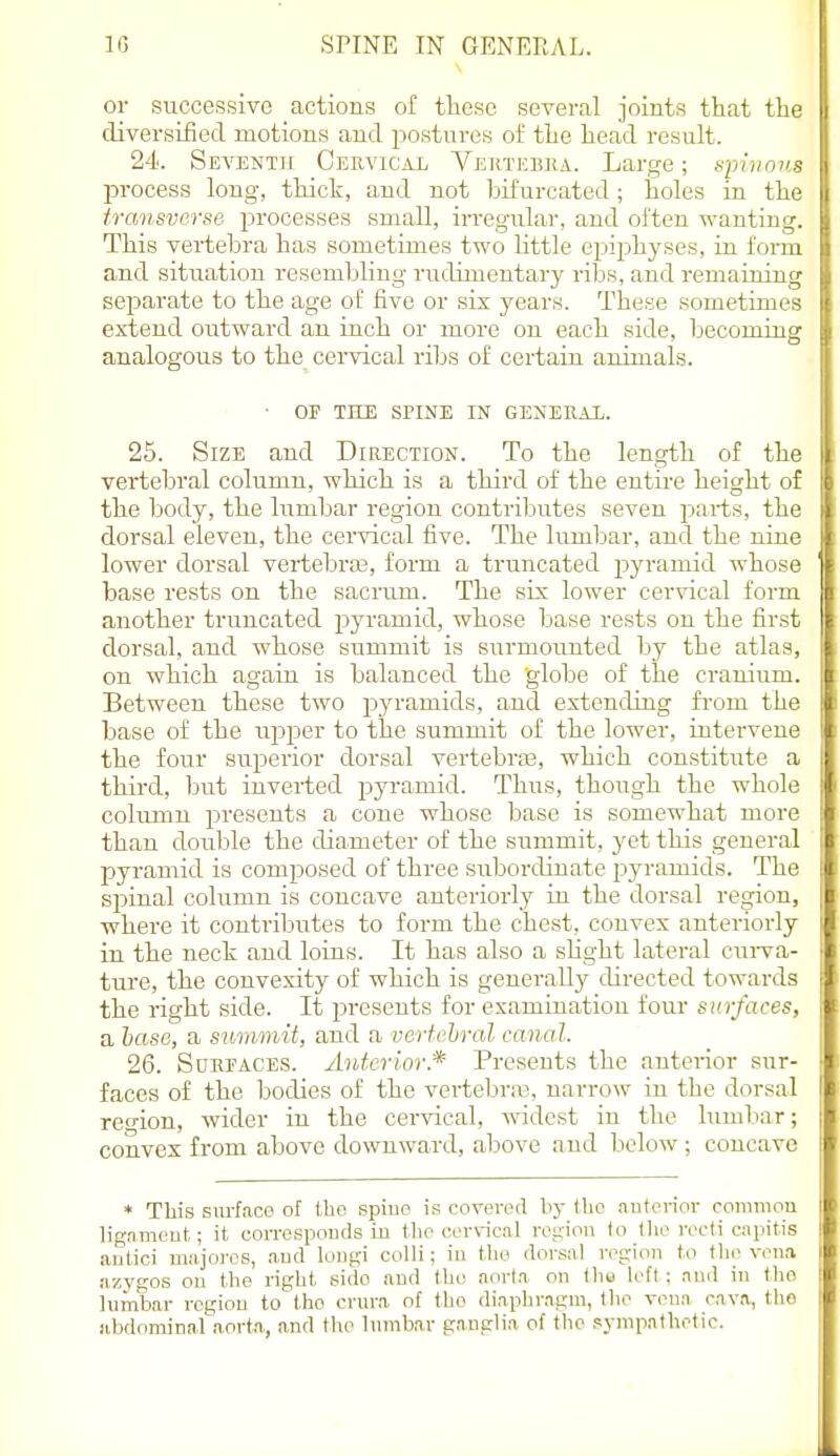 or successive actions of these sevei-al joints that tin diversified motions and postures of the head result. 24. Seventh Cehvical Vjsktebra. Large; spivo process long, tldcli:, and not bifurcated; holes in tin transverse jwocesses small, irregular, and often wantini This vertebra has sometimes two little epii^hyses, in fori: and situation resembling rudimentary riljs, and remainin g separate to the age of five or six years. These sometinir^ exi;end outward an inch or more on each side, becoming analogous to the cervical ribs of certain animals. ■ OP THE SPINE IN GENERAX. 25. Size and Direction. To the length of th vertebral column, which is a third of the entire height ir' the body, the lumbar region contributes seven parts, tin dorsal eleven, the cervical five. The lumbar, and the niu. lower dorsal vertebra?, form a truncated pyramid who>.. base rests on the sacrum. The six lower cervical form another truncated pyramid, whose base rests on the iirst dorsal, and whose summit is surmounted by the atlas, on which again is balanced the globe of the cranium. Between these two pyramids, and extending from the liase of the uj^per to the summit of the lower, intervene the four superior dorsal vertebraa, which constitute a third, but inverted pyramid. Thus, though the whole coluxnn presents a cone whose base is somewhat more than double the diameter of the summit, yet this general pyramid is composed of three subordinate pyramids. The spinal column is concave anteriorly in the dorsal region, where it contributes to form the chest, convex anteriorly in the neck and loins. It has also a shght lateral cui-va- ture, the convexity of which is generally directed towards the right side. It jn-esents for examination four surfaces, a base, a summit, and a verfehral canal. 26. SuEi'ACES. Anterior* Presents the anterior sur- faces of the bodies of the vertebra?, narrow in the dorsal region, wider in the cer\acal, widest in the lumbar; convex from above downward, above and below; concave * This surface of tbo spiuo is covort'd by tijp anterior common lignmeut; it corrospouds in the cervical region to the recti capitis aulici majoi-es, and loiigi colli; in the doi'sal region to the vena azygos ou the right side and thi' noria on tha left; and in the lumbar region to tfio crura of the diaphragm, the vena, cava, the iibdominal aorta, and the lumbar ganglia of the sympathetic.