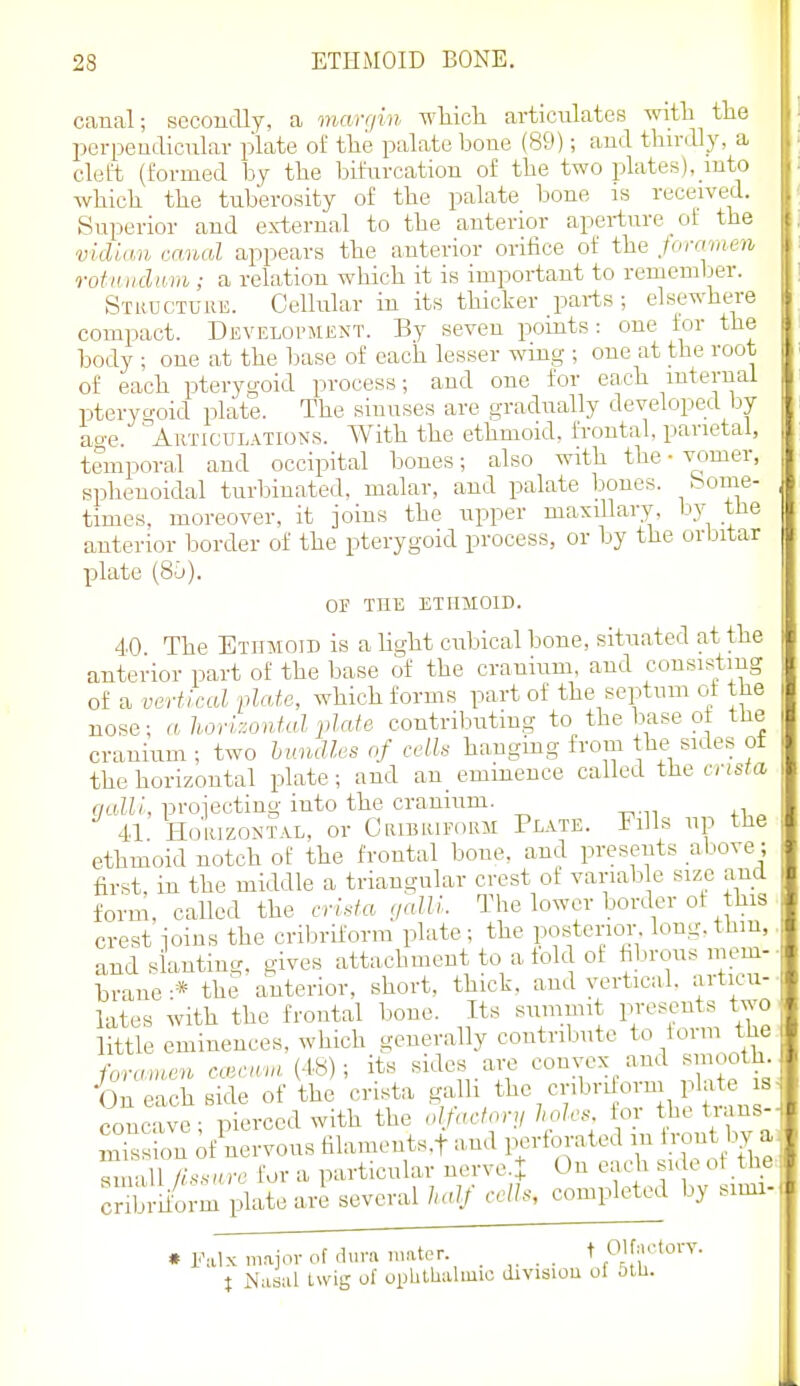 canal; sccoucUy, a marqin which articulates with the perpendicular plate of the palate bone (89); aud thirdly, a cleft (formed by the bifurcation of the two plates), into which the tuberosity of the palate bone is received. Superior and external to the anterior aperture of the vididn canal appears the anterior orifice of the ^foraraen rotnitdwn; a relation which it is important to rememljer. Structure. Cellular in its thicker parts; elsewhere compact. Development. By seven points: one i:or the body ; one at the base of each lesser wmg ; one at the root of each pterygoid process; and one for each internal pterygoid plate. The sinuses are gradually developed by ao-e. AiiTicuLATiONS. With the ethmoid, frontal, parietal, temporal and occipital bones; also with the ■ vomer, sphenoidal turbinated, malar, and palate bones. times, moreover, it joins the upper masiUary, by the anterior border of the pterygoid process, or by the orbitar plate (8Li). OP THE ETHMOID. 40 The Ethmoid is a light cubical bone, situated at the anterior part of the base of the cranium, aud consisting of a verticcd plate, which forms part of the septum of the nose; a horizontal plate contributiug to the base of the cranium ; two huncUes of cells hanging from the sides ot the horizontal plate ; and an_ eminence called the crista qalll, proiecting into the cramum. 41 HoiuzosTAL, or Cribrieorm Pl.^te. Fills up the ethmoid notch of the frontal bone, and presents above; first, in the middle a triangular crest of variab e size and form, called the crista gallL The lower border of this crest ioins the cribriform plate; the posterior long, thin, and siauting, gives attachment to a told of fibrous mem- brane :* the anterior, short, thick, and vertical, articu- lates with the frontal bone. Its summit present.? two little eminences, which generally contribute to form the. foramen cuscaia (48); its sides are convex and smooth On each Bide of the crista galli the cribriform pla e > concave; pierced with the olfactonj holes tor the trans- mTs on rf^nervous filameuts.f aud perforated in iront bv a ^nall /issare for a particular nervcj On each su e ot tlie Sbrm plate are several half cells, completed by simi- * mx major of dura nniter. . . t Olfncforv. t Nasul twig of oplilUalmic division ul otU. 1.