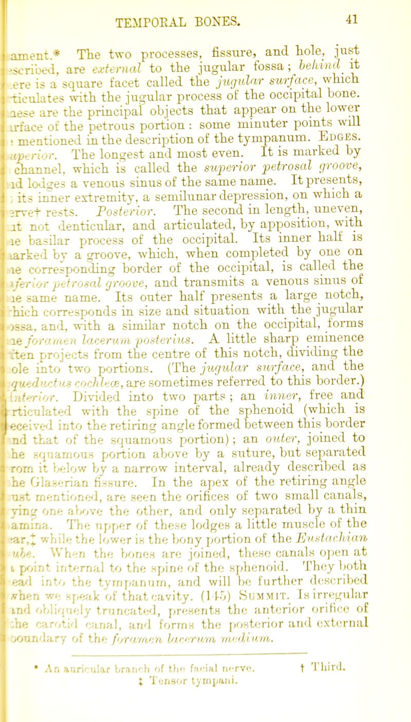 .-nt* THe two processes, fissiire, and hole, just - i-ibed, are e.vternal to the jugular fossa; behi)id_ it .ere is a square facet called the jugular surface, which •ticulates with the jugular process of the occipital bone, aese are the principal objects that appear on the lower irface of the petrous portion : some minuter points will • mentioned in the description of the tympanum. Edges. ■ ipt rij,-. The longest and most even. It is marked by channel, which is called the superior petrosal groove, id lodges a venous sinus of the same name. It presents, its inner extremity, a semdunar depression, on which a et rests. Posterior. The second in length, uneven, ^ not denticular, and articulated, by apposition, with basdar process of the occipital. Its inner half is ■ked bv a groove, which, when completed by one on corresponding border of the occipital, is called the rior pjefrosal groove, and transmits a venous sinus of -ame name. Its outer half presents a large notch, . ;h corresponds in size and situation with the jugular a, and, with a similar notch on the occipital, forms rorainen lacerum posterius. A little sharp eminence a projects from the centre of this notch, dividing the . J into two portions. (The ji(,gular surface, and the quedurtus cochlece,a.Te sometimes referred to this border.) intffrioT. Divided into two parts ; an inner, free and -rticiLlated with the spine of the sphenoid (which is ■eceived into the retiring angle formed between this border ,nd that of the squamous portion); an outer, joined to he .squamous portion above by a suture, but separated rom it below by a narrow interval, already described as he Glanerian fissure. In the apex of the retiring angle n.Ht mentioned, are seen the orifices of two small canals, yin^ one above the other, and only separated by a thin amina. Tni-. upper of these lodges a little muscle of the ;ar,* while the lower is the bony portion of the Eudacliian uhe. Wh';n the bones are joined, these canals open at I. j>f>\Tit internal to the spine of the splumoid. Th(^y both 1 into the tympanum, and will be further described ■ n we speak of thatcavity. (]lo) Si;mmit._ Is irregular ! obliqriely truncated, presents the anterior oriiicc o£ carr,tid canal, and forms the posterior and e.\t(;rnul indan/ of thf: foro.m':n l/icerum medium. • An auricular branch of the fncial m'tvo, X Turi.sor Ijirii/ani. t Third.