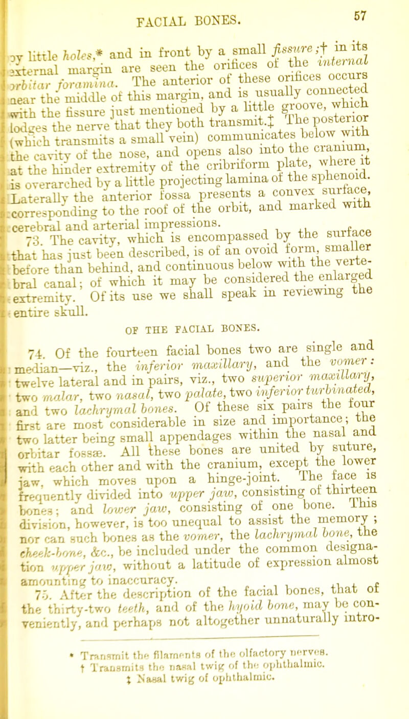 67 • little holes* and in front by a small fissure ;i mits rnal m' ;:rin are seen tlie oridces of the internal ' rbmllna. The anterior of these orifices occurs . he Sle of this margin, and is usually conuec ed -n the fissure iust mentioned by a little groove, which es the ne^e\hat they both t/ansmit.t The posterior , inch transmits a small vein) commimicates below with t a. Cavity of the nose, and opens also into the cranium afthe hihder extremity of the cribriform plate, where, it S .verar Aed by a httle projecting lamina of the sphenoid. Laterally the anterior fossa presents a convex sui^ce t^respoklins to the roof of the orbit, and marked with cerebral and arterial impressions. 73 The cavity, which is encompassed by the surtace - .t has just been described, is of an ovoid form smaller ■ -ore than behind, and continuous below with the verte- bral canal; of which it may be considered the enlarged extremity. Of its use we shall speak in reviewing the rrntire skull. OF THE FACIAL BONES. 74 Of the fourteen facial bones two are single and imedian-viz., the inferior maxillary, and the vomer: • twelve lateral and in pairs, viz., two siiperwr maxMary, ■ two raolnr, two nasal, two iKilate, two inferior iurUnated, ; and two lachrymal hones. Of these six pairs the four ■ first are most considerable in size and importance; the two latter being small appendages within the nasal and orbitar fos^saj. All these bones are umted by suture, with each other and ^ith the cranium, except the lower iaw. which moves upon a hinge-jomt. _ lie face is frequently divided into wpper jaw, consistmg of thirteen bones; and lower jaw, consisting of one bone, iiiis divi-sion, however, is too unequal to assist the memory ; nor ran such bones as the vomer, the lachrijmal bone, the eheek-hon'i. Sec, be included under the common designa- tion upper jaw, without a latitude of expression almost amounting to inaccuracy. ,i i. c irj After the description of the facial bones, that of the thirty-two teeth, and of the hyoid lone, may bo con- veniently, and y,f!rhaps not altogether unnaturally intro- • Transmit thr- filarnf-nts of tlio olfactory iktvi^h. t Trausrnits tho Tia«al twi^ of the ophUjahun;. t Nasal twig of ophthalmic.