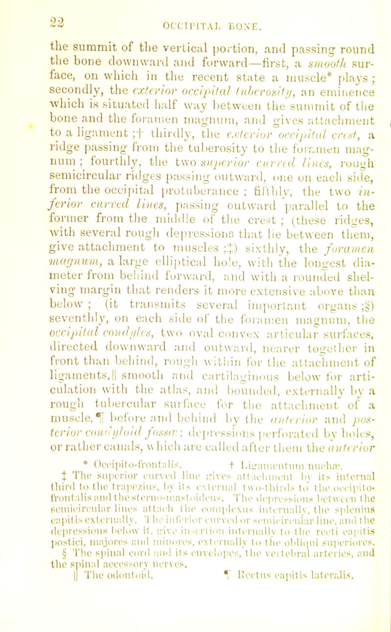 23 OtClriTAI, ].ONE. the summit of tlje vertical portion, and passing- round tlie bone downwaril and forward—first, a smoutit sur- face, on wliich in tlie recent state a muscle* plays ; secondly, the cctcrinr occipital liihcrosili/, an emineiice which is situated lialf way between the summit of the bone and the foramen ma^'num, and gives r.tlacliment to a ligament ;i- thirdly, the c.dcriur occijiilul cn si, a ridge passing from the tuberosity to the foir.mcn mag- num ; fourthly, the two sujin'iur ciirrnl /i,as, roiiyh semicircular ridges passing outward, one on each side, from the occipital protuberance: fil'lldy, the two i)t- fcrior carrcd lines, passing outward parallel to the former from the middle of the cre-^t ; (these ridges, with several rougli depressionn that lie between them, give attacliment to muscles ;J) sixthly, the funimcn ■iiuKjuum, a large elliptical hole, with the longest dia- meter from behind furwai'd, and with a rounded shel- ving margin that renders it more extensive above than below ; (it traiisujits several imiiortant organs ;§) seventhly, on each side of the for.-imen magniim, the occifiilid cn>i(li/!i.<, two oval eonv. \ articular surfaces, directed downward a?id outward, nearer together in front than behind, rough within foi- the attacliment of ligaments,II smooth and cartila^inilus below for arti- culation with the athis, and iioundid. externally by a rough tubercidar surfaic for the attachment of a muscle, 11 before anilbohind by the ant, rinr and jios- icriur cauiii/lnid fnx.nr : depressions ju rforated by holts, or rather canals, w hieli are called alter tliem the aiit( riur ♦ ()ci'iliil.i-IVonl:ilis, t LiLTanu'iitiim luieluw t Tlu' suinrinr nirvi'd line ::ives all:irlniirill by ils inievnill Ihinl le the Irapi'/ius, liv ils eMenial Ivvo-lliinls tn' llu' eecii'ilo- IVDlifalis :iliiUlieslenin-ii:;isI..iileil^. 'I'lu' lll■prrs^iens l>eI\Mi'li I he Pt'iniein'iiliir lilies ;ill:irh llie ecitn|ilexus iiileni.-ilfv. the s|ileiiius e.'ipili- exlemiillv. 'I lii' iiih riei- eiirved iir si'inii-iri-iii:ir line, nlul Ihe depressieiis hehivv it. iriv,' in-inin:i iiiteni:ill.v In Ihi' reeli e^ipilis ]instiei, in;ij(irrs iiud lnillul■e^;. e\lern;ill_v In I in- eliliiiui siiperinres. § The s|)iii;il eevil :;U-1 ils clni'lopes, Ilie veilelirnl :nleiies, iilld the spiniil :R'ees-(>i-y ner\ es.