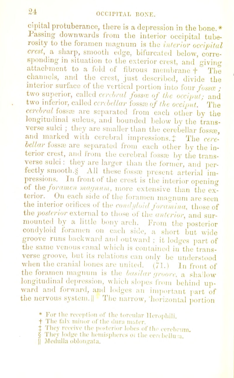 OCCIPITAL BONE. cipital protuberance, there is a dei>re3sion in tlie bone. * Passing downwards IVom the interior occipital tube- rosity to the foramen magnum is the liita-iur ocripikil crest, a sharp, sniootli edge, bifurcated below, corre- sponding in situation to the exterior crest, and givino- attachment to a fold of fibrous uii'iiibrane + The channels, and the crest, just ilescribed, divide the interior surface of tlie vtrtical portion into four fusi-w ; two superior, called anhrtil fuss'C of l/ic oirlpul; and two inferior, called cinhdlar Umsxvf Ihv occ'jiul. ' The cvrihrul fossie are separated from each other by the longitudinal sulcus, and liounded below bv the trans- verse sulci ; they are smaller than the cerebellar fossaj, and marked with cerebral imiiressions.i' The vd-e- heltar foss;B are separated from eaeli other bv the in- terior crest, ;iml Injiu the cerebral Ibssa; by the trans- Verse sulci: they are larger than the Ibriiier. and jier- fectly smooth.^ All these fossie jireseiit arterial im- pressions. In front of the crest is the interior opening of the/«;■</)«(')/ /itdi/iiiiiii. more exlen.sive than the e.v terior. On each side of tlie foramen iiiaeinim are seen the interior orilices of the niiiihih,!,! fnni'iiilnn. those of the jjos/nv'oi-external to those ol ihJ auti rim; ami sur- mounted by a little bony aivh. From the'posterior condyloid i'oraiiien on e.uli si(;o. a, short but wiile groove runs baclavard and ontu.ard : it lodires part of the same venous canal whii'li is contained iii tho trans- verse groove, but its i-elalions r:iii oidv be understood when the ci-anial iiones an- uiiileii. ^71.) In fi-,,nt of the foramen magnuni is the luixilm-'ii-nm-i. a shadow longitudinal depri'Ksion, w hieh sli.pes from behind up- ward a,iid forward, ami lodges an important part of the nervous .system.|| The narrow, ■|iorizoiit,:d jiortion • Fill- llii- rci-i'plion of llir tni-i-iil:ir 1 Ii'i-opliili. t 'I'lir fills niiiior {il'Ilic iiiir:i in:.tcr. j 'I'lu-y m-i'ivc llii- iiii>ti-ri.ir lulii-s ol'lli . n-n-Li-nin. § 'flll'v Ihc lirlllisj)luTi.s o, Ihi-rci-i lirlhl ■! II SIcdiilla nbluiii.'.-i;:i.
