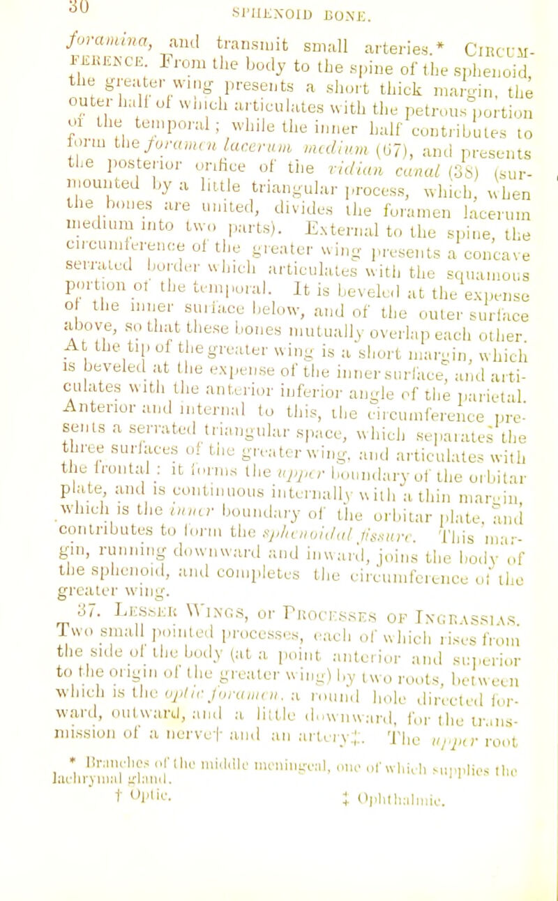 .SI'IIKXOID DOSE. foranuna, ami transmit small arteries.* CmcL-ii- FEKEKCE. From the body to tlje spiue oftlie sphenoid, the grea er vv.rijr presents a short thick maroj,,, the outer hall ol w.uch articulates \vith the petrous portion or the temporal; while the inner half contributes to onu the Juramrulaccrum medium (G7), and presents the ]>osterior oriHce of the rklkoi canal (3S) (sur- n.ounted by a little triangular process, which, «hen the bones are united, divides the foramen lacerum medium into two |,arts). External to the spine the circundere.Hie of the greater wing- p,,sents a concave serrated hui d.r u hich articulates with the squamous portion ot the temporal. It is beveled at the expense 0 the u.ner suiia,ce below, and of the outer surface above, so that these bones mutually overlap each other A the tip ol the greater wing is a short margin, which IS beveled at the expense of the inner surface, and arti- culates with the anterior inferior angle of the i.arietal Anterior and internal (o this, ihe circumference pre' sents a serrated triangular space, which sepaiates the three surlaces of the greater whig, and articulates with the Irontid : it lonns tlie uj.jar boundary of the orbitar plate and is continuous internally \\itli a thin niar.dn which IS the uuar boundary of the orbitar plate and contributes to h.rm the .y,/niioi,/iil //s.s-Hre This nrr- gw, running downward and inuaid, joins the hodv'of the sphenoid, and completes the eircumfcience ol ihe greater wing. 37. Lk.sskk VA'iNo.s, or Proci-.sse.s of Ixcin\ssms Two small pointed proccss.-s, c^ach of uhich lises fioi'n the side ol the body (at a point antciior and sr,,orior to the origin of the greater wing^ l,y ,uo roots, belweeii which is the (V-/,,■_/,„■,(,»,«. a r..un,| ]t„]^. directed for- ward, outward, and a, liitle d.,unw:ird, b.i-|he iruis- nussion of a nervef a.nd an artery.;. 'J'lie iinj^r root • HiMiK-lic..* (.niic ,i,i,|,lk- mraini;v;il. nn,. otuinrli Mii-i.tie-^ llu' liii'lirjnial li-1:iiicI. ' ' t ; OpliilKiliuk-.