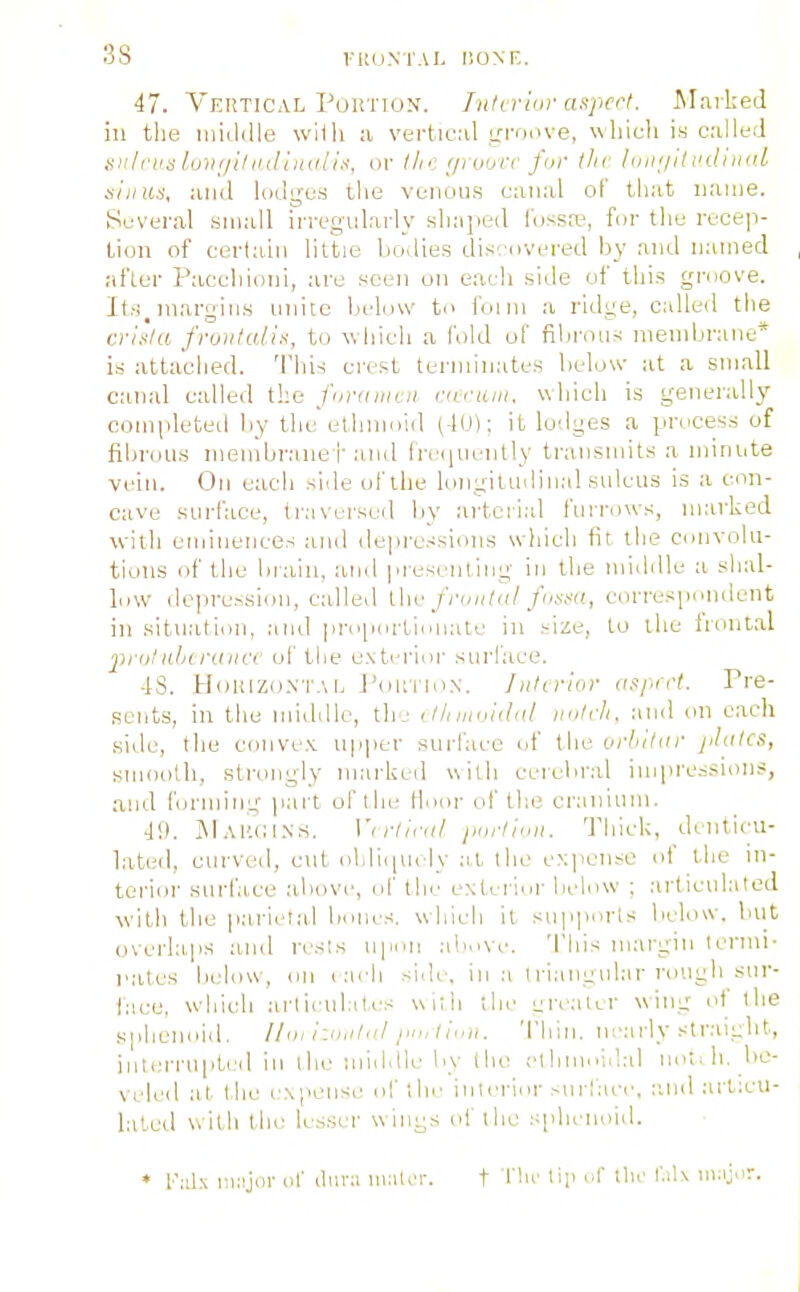 3S lltUMAI, IIONF,. 47. Vertical PoUTiON. luh riur aspcrt. JIaiked in the iiiitUUe willi a vertic;il ^fi-oove, which is c.-illtd siilrnsluVf/iliidliMlix, or llic f/rijufr fur tin- loiiiiiti'dhidl sinus, ;uid lodges tlie venous canal of tliat name. Several small irregularly shaped I'ossre, for the recep- tion of certain little bodies discovered by and named after Paccliioni, are seen on each side of this groove. Its, margins nnite Indow to foini a ridge, called the crisia fruvtalix, to which a fold of fibrous membrane* is attached. 'Phis crest terminates below at a small canal called the furtimen nu-ani. which is generality completed by the ethmoid (W)-. it lodges a process of fibrous menibrane h and frc(iuently transmits a minute vein. On each side of the longitudinal sulcus is a con- cave surface, traversuil hy artci'ial furrows, marked with eminences and depressions which fit the convolu- tions of the hi'ain, and pi'esenting in the middle a shal- low dejiression, called ihr Jruiitui fusm, correspondent in situation, and i>i-oportionate in size, to the iiontal pro/iiljcnilice of the exti-rior surface. ■18. Hdiuzo.NT.', L rduvnix. Jnli rlm- aai^rii. Pre- sents, in the middle, Ih: ' l/i iimidul imlrli. and on each side, the conve.v upper surface of the ui'hiliir jiliilcs, smooth, strongly nnirked with cerelo-al impressions, and forudng (lait of the lloor of the ci'anium. 1!). J\l AlUil.NM. Virliriil jinrtinii. Thick, denticu- lated, curveil, c\it ohliiiuely .-it the expense of the in- terior sui-face .above, of the exlcrlni- liclow ; .articulated with the p.ai-ielal bones, whicli it. su|iports lielow. but overlaps and rests npi'O .-liiMVe. 'I'Ins margin termi- nates below, on ( ai'h side, in :i I riangular rough sur- face, which arlirufili's \m;1i the L:realcr wing I'f the sphenoid, 1/m iyi.ihil y,,, I. 'I'hin. nearly straight, intenaiptrd in llie middle by llie el hnioiil.-d ii..;. h. be- veled at the i:.\j'ense of thr inli'rior -ui laer. and .artaai- laled with the lesser wings of the sphenoid. • laL\ ia;!jiir of (lnr:i nialcr. t I'tu' li]! .f tlu' r.il\ in^ij^r.