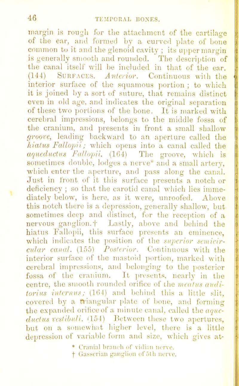 inargin is roiiyli for the attacliment of the cartilage of the eai-, and formeil by a curved phite of bone common to it and the glenoid cavitj' ; its i.i]iper margin is generally sniooth and rounded. The description of the canal itself will be included in that of the ear. (144) SunF.\CES. Anlciiur. Continuous with the interior surface of the .squamou.s portion ; to which it is joined by a sort of suture, that remains distinct even in old age, and indicates the original separation of these two portions of the bone. It is marked with cerebral impressions, belongs to the middle fossa of the cranium, and presents in front a small shallow (jroove, leading backward to an aperture called the hiatus Fallopii; which opens into a canal called the aqucductvs Falltipii. (1G4) The groove, which is sometimes double, lodges a nerve* and a small artery, which enter the aperture, and pass along the canal. Just in front of it this surface presents a notch or deficiency ; so that the carotid canal which lies imme- diately below, is here, as it were, unroofed. Above this notch there is a depression, generally shallow, but sometimes deep and ilistinct, for the reception of a nervous ganglion.f Lastly, above and behind the hiatus Fall(i|)ii, this surface presents an eminence, which indicates the position of the .superior scmiciy- cuhir cainil. (155) Poslirior. Continuous w^ith the interior surface of the mastoiil portion, marked with cerebral impressions, and belonging to the ]iosterior fossa of the cranium. It jircscnts, nearly in the centre, the smooth rounded orifice of the mtiilux audi- torius intfrnus; (Itil) and behind this a little slit, covered by a tfriangidar plate of bone, and forming the expanded orifice of a. mimito canal, called the aquc- ductus vtslibnti. il54) Between these two apertures, but on a sonicwh.-it higher level, there is a little depression of variable form and size, which gives at- * t.'ninial br;nu-Ii iit viiliiiii ihtvi'. t (.lasscriim ^Mn£,'li(m urolli norvo.