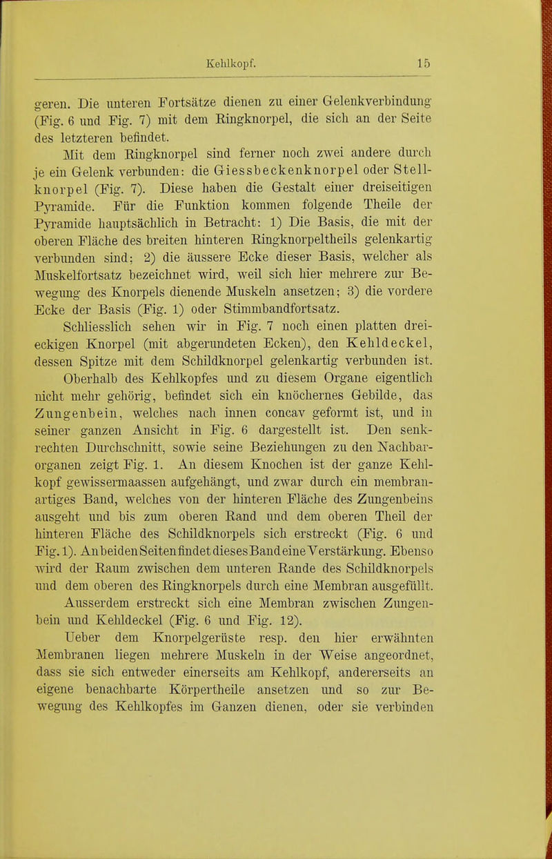 geren. Die unteren Fortsätze dienen zu einer Gelenkverbindung (Fig. 6 und Fig. 7) mit dem Eingknorpel, die sich an der Seite des letzteren befindet. Mit dem Kingknorpel sind ferner nocli zwei andere durch je ein Gelenk verbunden: die Giessbeckenknorpel oder Stell- kuorpel (Fig. 7). Diese haben die Gestalt einer dreiseitigen Pyramide. Für die Funktion kommen folgende Theile der Pyramide hauptsächlich in Betracht: 1) Die Basis, die mit der oberen Fläche des breiten hinteren Ringknorpeltheils gelenkartig verbimden sind; 2) die äussere Ecke dieser Basis, welcher als Muskelfortsatz bezeichnet wird, weil sich hier mehrere zur Be- wegung des Knorpels dienende Muskeln ansetzen; 3) die vordere Ecke der Basis (Fig. 1) oder Stimmbandfortsatz. Schliesslich sehen wir in Fig. 7 noch einen platten drei- eckigen Knorpel (mit abgerundeten Ecken), den Kehldeckel, dessen Spitze mit dem Schildknorpel gelenkartig verbunden ist. Oberhalb des Kehlkopfes und zu diesem Organe eigentlich nicht mehr gehörig, befindet sich ein knöchernes Gebilde, das Zungenbein, welches nach innen concav geformt ist, und in seiner ganzen Ansicht in Fig. 6 dargestellt ist. Den senk- rechten Durchschnitt, sowie seine Beziehungen zu den Nachbar- organen zeigt Fig. 1. An diesem Knochen ist der ganze Kehl- kopf gewissermaassen aufgehängt, und zwar durch ein membran- artiges Band, welches von der hinteren Fläche des Zungenbeins ausgeht und bis zum oberen Band und dem oberen Theil der hinteren Fläche des Schildknorpels sich erstreckt (Fig. 6 und Fig.l). AnbeidenSeitenfindetdiesesBand eine Verstärkung. Ebenso wird der Raum zwischen dem unteren Bande des Schildknorpels und dem oberen des Ringknorpels durch eine Membran ausgefüllt. Ausserdem erstreckt sich eine Membran zwischen Zungen- bein und Kehldeckel (Fig. 6 und Fig. 12). Ueber dem Knorpelgerüste resp. den hier erwähnten Membranen liegen mehrere Muskeln in der Weise angeordnet, dass sie sich entweder einerseits am Kehlkopf, andererseits an eigene benachbarte Körpertheile ansetzen und so zur Be- wegung des Kehlkopfes im Ganzen dienen, oder sie verbinden