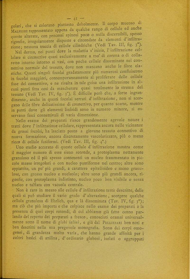 aolari, che si colorano piuttosto debolmente. Il corpo mucoso di Malpighi rappresentato appena da qualche rango di cellule ed anche queste alterate, con processi spinosi poco o nulla discernibih, spesso rigonfie, irregolarmente disposte e circondate da elementi d infiltra- zione; nessuna traccia di cellule cilindriche (Vedi Tav. Ili, fig. 3 )• Nel derma, nei punti dove la malattia s'inizia, l'infiltrazione cel- lulare si circoscrive quasi esclusivamente a mo' di corona o di colla- retto intorno intorno ai vasi, con poche cellule disseminate nel con- nettivo normale del tessuto, dove non mancano anche le fibre ela- stiche. Questi singoli focolai gradatamente più numerosi confluiscono in focolai maggiori, contemporaneamente al proliferare delle cellule fisse del connettivo, e ne risulta in tale guisa una infiltrazione in al- cuni punti fitta così da mascherare quasi totalmente lo stroma del tessuto (Vedi Tav. IV, fig. 3). È difficile però che, a forte ingran- dimento, anche in questi focolai serrati d'infiltrazione, non si scor- gano delle fibre dehcatissime di connettivo, per quanto scarse, mentre in punti dove gli elementi linfoidi sono in numero minore, si os- servano fasci connettivali di varia dimensione. Nello esame dei preparati riesce grandemente agevole notare i tratti dove l'infiltrazione cellulare, rappresentata ancora nelle vicinanze da grossi focolai, ha lasciato posto a giovane tessuto connettivo di nuova formazione, ancora discretamente vascolarizzato, più o meno ricco di cellule fusiformi. (Vedi Tav. Ili, fig. 4*.) Uno studio accurato di queste cellule d'infiltrazione mostra come il maggior numero di esse sieno rotonde, a protoplasma nettamente granuloso ed il più spesso contenenti un nucleo frammentato in pic- cole masse irregolari o con nucleo puntiforme nel centro; altre sòno appiattite, un po' più grandi, a carattere epitelioideo e meno granu- lose, con grosso nucleo e nucleolo; altre sono più grandi ancora, ri- gonfie, con protoplasma indistinto, nucleo poco ben visibile 0 senza nucleo e talfiata con vacuola centrale. Non è raro in mezzo alle cellule d'infiltrazione teste descritte, delle quali si può studiare il vario grado d' alterazione , scorgere qualche cellula granulosa di Ehrlich, qua e là disseminata (Tav. IV, fig. 3*); ma ciò che più importa e che colpisce nello esame dei preparati è la presenza di quei corpi rotondi, di cui abbiamo già fatto cenno par- lando del reperto dei preparati a fresco , conosciuti oramai universal- mente sotto il nome di globi ialini, e già dal Pelltzzari ben noti e ben descritti nella sua pregevole monografia. Sono dei corpi omo- genei, di grandezza molto varia, che hanno grande affinità per i colori basici di anilina, d'ordinario globosi, isolati o aggruppati