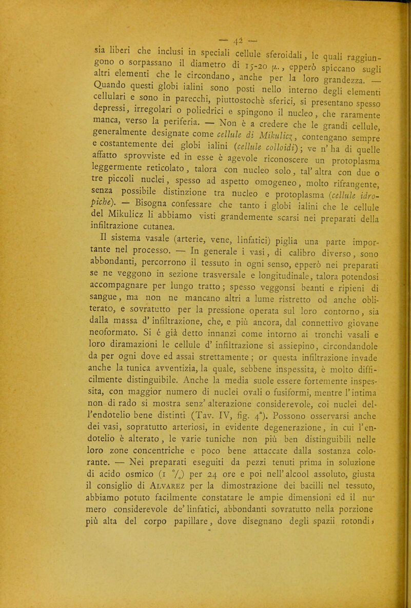 sia liberi che inclusi in speciali cellule sferoidali, le quali ragRiuti- gono o sorpassano il diametro di 15-20 , epperò spiccano sugli a^tn elementi che le circondano, anche per la loro grandezza. - Quando questi globi ialini sono posti nello interno degli elementi cellulari e sono in parecchi, piuttostochè sferici, si presentano spesso depressi, irregolari o poliedrici e spingono il nucleo, che raramente manca verso la periferia. - Non è a credere che le grandi cellule generalmente designate come cellule di Milulici, contengano sempre e costantemente dei globi ialini {celltde colloidi) - ve n'ha di quelle affatto sprovviste ed in esse è agevole riconoscere un protoplasma leggermente reticolato, talora con nucleo solo, tal'altra con due o tre piccoh nuclei, spesso ad aspetto omogeneo, molto rifrangente, senza possibile distinzione tra nucleo e protoplasma {cellule idro- piche). - Bisogna, confessare che tanto i globi ialini che le cellule del Mikuhcz li abbiamo visti grandemente scarsi nei preparati della infiltrazione cutanea. Il sistema vasale (arterie, vene, linfatici) piglia una parte impor- tante nel processo. — In generale i vasi, di calibro diverso, sono abbondanti, percorrono il tessuto in ogni senso, epperò nei preparati se ne veggono in sezione trasversale e longitudinale, talora potendosi accompagnare per lungo tratto; spesso veggonsi beanti e ripieni di sangue, ma non ne mancano altri a lume ristretto od anche obli- terato, e sovratutto per la pressione operata sul loro contorno, sia dalla massa d'infiltrazione, che, e più ancora, dal connettivo giovane neoformato. Si é già detto innanzi come intorno ai tronchi vasali e loro diramazioni le cellule d'infiltrazione si assiepino, circondandole da per ogni dove ed assai strettamente ; or questa infiltrazione invade anche la tunica avventizia, la quale, sebbene inspessita, è molto diffi- cilmente distinguibile. Anche la media suole essere fortemente inspes- sita, con maggior numero di nuclei ovali o fusiformi, mentre l'intima non di rado si mostra senz' alterazione considerevole, coi nuclei del- l'endotelio bene distinti (Tav. IV, fig. 4'). Possono osservarsi anche dei vasi, sopratutto arteriosi, in evidente degenerazione, in cui l'en- dotelio è alterato, le varie tuniche non più ben distinguibili nelle loro zone concentriche e poco bene attaccate dalla sostanza colo- rante. — Nei preparati eseguiti da pezzi tenuti prima in soluzione di acido osmico (i 7J per 24 ore e poi nell'alcool assoluto, giusta il consiglio di Alvarez per la dimostrazione dei bacilli nel tessuto, abbiamo potuto facilmente constatare le ampie dimensioni ed il nu- mero considerevole de' linfatici, abbondanti sovratutto nella porzione più alta del corpo papillare, dove disegnano degli spazii rotondi»