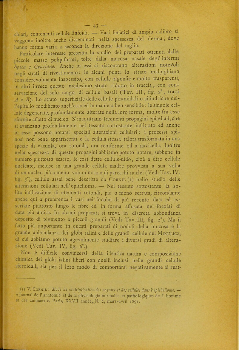 tiari, contenenti cellule linfoidi. — Vasi linfatici di ampio calibro si veggono inoltre anche disseminati nella spessezza del derma, dove hiinno forma varia a seconda la direzione del taglio. Particolare interesse presenta lo studio dei preparati ottenuti dalle piccole masse polipiformi, tolte dalla mucosa nasale degl' infermi Spica e Graziano. Anche in essi si riscontrano alterazioni note^foli iegli strati di rivestimento: in alcuni punti lo strato malpighiano considerevolmente inspessito, con cellule rigonfie e molto trasparenti, in altri invece questo medesimo strato ridotto in traccia , con con- servazione del solo rango di cellule basali (Tav. Ili, fig. 2*, tratti ./ B). Lo strato superficiale delle cellule piramidali o cilindriche del- ' epitelio modificato anch'esso ed in maniera ben sensibile: le singole cel- lule degenerate, profondamente alterate nella loro forma, molte fra esse fornite affatto di nucleo. S'incontrano frequenti propagini epiteliali, che si avanzano profondamente nel tessuto sottostante infiltrato ed anche in esse possono notarsi speciah alterazioni cellulari : i processi spi- nosi non bene appariscenti e la cellula stessa talora trasformata in una specie di vacuola, ora rotonda, ora reniforme od a navicella. Inoltre nella spessezza di queste propagini abbiamo potuto notare, sebbene in numero piuttosto scarso, le cosi dette cellule-nido, cioè a dire cellule nucleate, incluse in una grande cellula madre provvista a sua volta di un nucleo più o meno voluminoso o di parecchi nuclei (Vedi Tav. IV, tig. 5'), cellule assai bene descritte da Cornil (i) nello studio delle alterazioni cellulari nell'epitelioma. — Nel tessuto sottostante la so- lita infiltrazione di elementi rotondi, più o meno serrata, circondante anche qui a preferenza i vasi nei focolai di più recente data ed as- seriate piuttosto lungo le fibre ed in forma afiFusata nei focolai di data più antica. In alcuni preparati si trova in discreta abbondanza deposito di pigmento a piccoli granuli (Vedi Tav. Ili, fig. 2). Ma il fatto più importante in questi preparati di noduli della mucosa è la grande abbondanza dei globi ialini e delle grandi cellule del Mikulicz, di cui abbiamo potuto agevolmente studiare i diversi gradi di altera- zione (Vedi Tav. IV, fig. 6\) Non è difficile convincersi della identica natura e composizione chimica dei globi ialini liberi con quelli inclusi nelle grandi cellule sferoidali, sia per il loro modo di comportarsi negativamente ai reat- (i) V. Cornil: Mode de nttiUìpUcaiiondes noyaux et des celMcs dansl'épUhéUoine.—- «Journal de 1' anatomie et de la physiologie normales et pathologiques de 1' homme et des animaux». Paris, XXVII ann6e,;N. 2, mars-avril 1891,