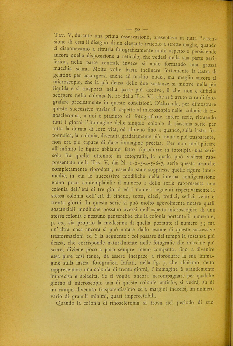 Tav. V, durame una prima osservazione, presentava in tutta l'esten- sione di essa il disegno di un elegame reticolo a strette maglie, quando CI disponevamo a ritrarla fotograficamente mutò aspetto e persistendo ancora quella disposizione a reticolo, che vedesi nella sua parte peri- ferica , nella parte centrale invece si andò formando una grossa macchia scura. Molte volte basta inclinare fortememe la lastra di gelatina per accorgersi anche ad occhio nudo, ma meglio ancora al microscopio, che la più densa delle due sostanze si muove nella più liquida e si trasporta nella parte più declive, il che non è difficile scorgere nella colonia N. io della Tav. VI, che si è avuto cura di foto- grafare precisamente in queste condizioni. D'altronde, per dimostrare questo successivo variar di aspetto al microscopio nelle colonie di ri- noscleroma, a noi è piaciuto di fotografarne intere serie, ritraendo tutti i giorni l'immagine delle singole colonie di ciascuna serie per tutta k durata di loro vita, od almeno fino a quando, sulla lastra fo- tografica, la colonia, divenuta gradatamente più tenue e più trasparente, non era più capace di dare immagine precisa. Per non moltiplicare all' infinito le figure abbiamo fatto riprodurre in fototipia ■ una serie sola fra quelle ottenute in fotografia, la quale può vedersi rap- presentata nella Tav. V, dai N. 1-2-3-4-5-6-7, serie questa neanche completamente riprodotta, essendo state soppresse quelle figure inter- medie, in cui le successive modifiche nella interna configurazione erano poco contemplabili : il numero i della serie rappresenta una colonia dell' età di tre giorni ed i numeri seguenti rispettivamente la stessa colonia dell' età di cinque, sette, dieci, tredici, sedici, venti e trenta giorni. In questa serie si può molto agevolmente notare quali sostanziali modifiche possano aversi neU'aspetto microscopico di una stessa colonia e nessuno penserebbe che la colonia portante il numero 6, p. es., sia proprio la medesima di quella portante il numero 3 ; ma un' altra cosa ancora si può notare dallo esame di queste successive trasformazioni ed è la seguente ; col passare del tempo la sostanza più densa, che corrisponde naturalmente nelle fotografie alle macchie più scure, diviene poco a poco sempre meno compatta, fino a divenire essa pure cosi tenue, da essere incapace a riprodurre la sua imma- gine sulla lastra fotografica. Infatti, nella fig. 7, che abbiamo detto rappresentare una colonia di trenta giorni, l'immagine è grandemente imprecisa e sbiadita. Se si vogUa ancora accompagnare per qualche giorno al microscopio una di queste colonie antiche, si vedrà, su di un campo divenuto trasparentissimo ed a margini indecisi, un numero vario di granuU minimi, quasi impercettibili. Quando la colonia di rinosderoma si trova nel periodo di suo