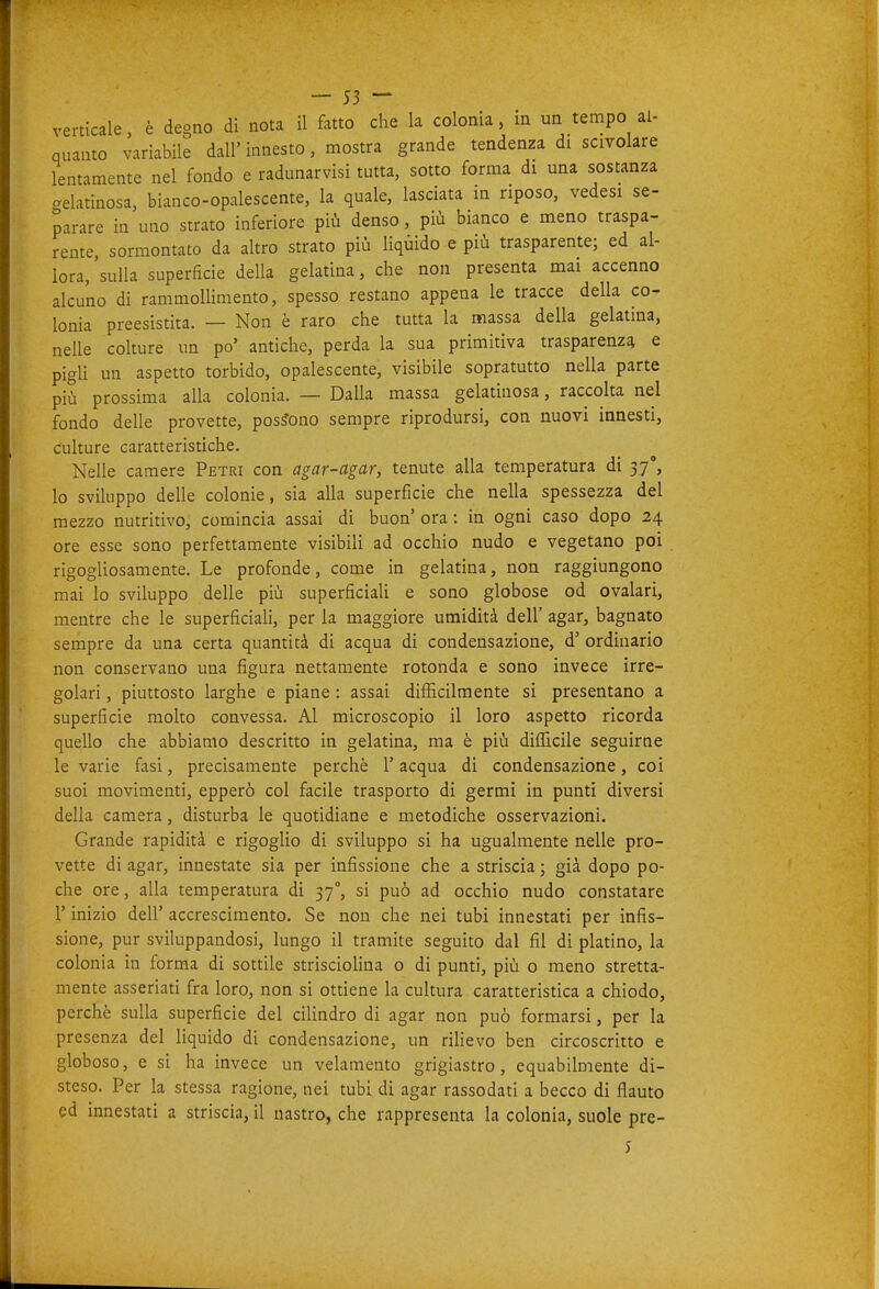 verticale, è degno di nota il fatto che la colonia, in un tempo al- quanto variabile dall' innesto, mostra grande tendenza di scivolare lentamente nel fondo e radunarvisi tutta, sotto forma di una sostanza gelatinosa, bianco-opalescente, la quale, lasciata in riposo, vedesi se- parare in uno strato inferiore più denso, più bianco e meno traspa- rente, sormontato da altro strato più liqùido e più trasparente; ed al- lora,'sulla superficie della gelatina, che non presenta mai accenno alcuno di rammollimento, spesso restano appena le tracce della co- lonia preesistita. — Non è raro che tutta la massa della gelatina, nelle colture un po' antiche, perda la sua primitiva trasparenza e pigli un aspetto torbido, opalescente, visibile sopratutto nella parte più prossima alla colonia. — Dalla massa gelatinosa, raccolta nel fondo delle provette, possono sempre riprodursi, con nuovi innesti, culture caratteristiche. Nelle camere Petri con agar-agar, tenute alla temperatura di 37, lo sviluppo delle colonie, sia alla superficie che nella spessezza del mezzo nutritivo, comincia assai di buon' ora : in ogni caso dopo 24 ore esse sono perfettamente visibili ad occhio nudo e vegetano poi rigogliosamente. Le profonde, come in gelatina, non raggiungono mai lo sviluppo delle più superficiali e sono globose od ovalari, mentre che le superficiali, per la maggiore umidità dell' agar, bagnato sempre da una certa quantità di acqua di condensazione, d' ordinario non conservano una figura nettamente rotonda e sono invece irre- golari, piuttosto larghe e piane: assai difficilmente si presentano a superficie molto convessa. Al microscopio il loro aspetto ricorda quello che abbiamo descritto in gelatina, ma è più difficile seguirne le varie fasi, precisamente perchè l'acqua di condensazione, coi suoi movimenti, epperò col facile trasporto di germi in punti diversi della camera, disturba le quotidiane e metodiche osservazioni. Grande rapidità e rigoglio di sviluppo si ha ugualmente nelle pro- vette di agar, innestate sia per infissione che a striscia ; già dopo po- che ore, alla temperatura di 37°, si può ad occhio nudo constatare r inizio dell' accrescimento. Se non che nei tubi innestati per infis- sione, pur sviluppandosi, lungo il tramite seguito dal fil di platino, la colonia in forma di sottile strisciolina o di punti, più o meno stretta- mente asseriati fra loro, non si ottiene la cultura caratteristica a chiodo, perchè sulla superficie del cilindro di agar non può formarsi, per la presenza del liquido di condensazione, un riUevo ben circoscritto e globoso, e si ha invece un velamento grigiastro, equabilmente di- steso. Per la stessa ragione, nei tubi di agar rassodati a becco di flauto ed innestati a striscia, il nastro, che rappresenta la colonia, suole pre-