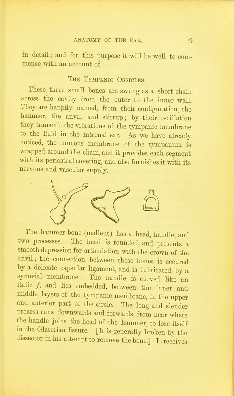 in detail; and for this jnirpose it will be well to com- mence with an accoimt of The Tympanic Ossicles. These three small bones are swung as a short chain across the cavity from the outer to the inner wall. They are happily named, from their configuration, the hammer, the anvil, and sturup; by their oscillation they transmit the vibrations of the tympanic membrane to the fluid in the internal ear. As we have already noticed, the mucous membrane of the tympanimi is wrapped around the chain, and it provides each segment with its periosteal covering, and also fui-nishes it with its nervous and vascular supply. The hammer-bone (maUeus) has a head, handle, and two processes. The head is rounded, and presents a smooth depression for articulation with the crown of the anvU; the connection between these bones is secured by a deHcate capsular ligament, and is lubricated by a synovial membrane. The handle is curved like an itaHc /, and lies embedded, between the inner and middle layers of the tympanic membrane, in the upper and anterior part of the circle. The long and slender process runs downwards and forwards, from near where the handle joins the head of the hammer, to lose itself in the Glaserian fissure. [It is generally broken by the dissector in his attempt to remove the bone.] It receives