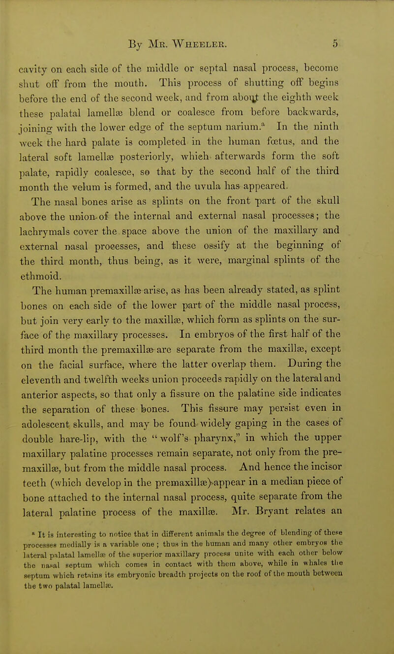 cavity on each side of the middle or septal nasal process, become shut off from the mouth. This process of shutting off begins before the end of the second week, and from aboq}: the eighth week these palatal lamellas blend or coalesce from before backwards, joining with the lower edge of the septum narium.'' In the ninth week the hard palate is completed in the human foetus, and the lateral soft lamellje posteriorly, which, afterwards form the soft palate, rapidly coalesce, so that by the second half of the third month the velum is formed, and the uvula has appeared. The nasal bones arise as splints on the front -part of the skull above the union-of the internal and external nasal processes; the lachrymals cover the space above the union of the maxillary and external nasal processes, and these ossify at the beginning of the third month, thus being, as it Avere, marginal splints of the ethmoid. The human premaxillte arise, as has been already stated, as splint bones on each side of the lower part of the middle nasal process, but join very early to the maxillae, which form as splints on the sur- face of the maxillary processes. In embryos of the first half of the third month the premaxills© are separate from the maxillEe, except on the facial surface, where the latter overlap them. During the eleventh and twelfth weeks union proceeds rapidly on the lateral and anterior aspects, so that only a fissure on the palatine side indicates the separation of these bones. This fissure may persist even in adolescent skulls, and may be found Avidely gaping in the cases of double hare-li[), with the  wolf's pharynx, in which the upper maxillary palatine processes remain separate, not only from the pre- maxillse, but from the middle nasal process. And hence the incisor teeth (which develop in the premaxillae)vappear in a median piece of bone attached to the internal nasal process, quite separate from the lateral palatine process of the maxillte. Mr. Bryant relates an » It is interesting to notice that in different animals the degree of blending of these processes medially is a variable one ; thuR in the human and many other embryos the lateral pjilatal lamellffi of the superior maxillary process unite with each other below the nasal septum wliich comes in contact with them above, while in whales the septum which retains its embryonic breadth projects on the roof of the mouth between the two palatal lamellffi. ,