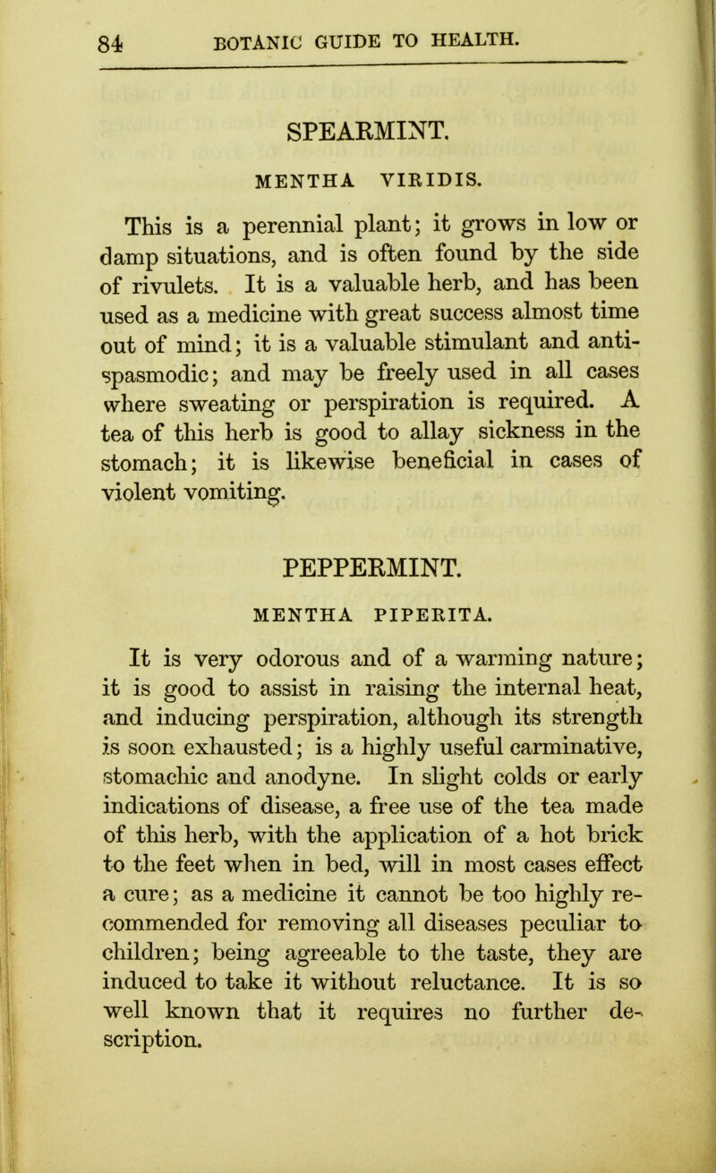 SPEARMINT, MENTHA VIRIDIS. This is a perennial plant; it grows in low or damp situations, and is often found by the side of rivulets. It is a valuable herb, and has been used as a medicine with great success almost time out of mind; it is a valuable stimulant and anti- spasmodic ; and may be freely used in all cases where sweating or perspiration is required. A tea of this herb is good to allay sickness in the stomach; it is likewise beneficial in cases of violent vomiting. PEPPERMINT. MENTHA PIPERITA. It is very odorous and of a warming nature; it is good to assist in raising the internal heat, and inducing perspiration, although its strength is soon exhausted; is a highly useful carminative, stomachic and anodyne. In slight colds or early indications of disease, a free use of the tea made of this herb, with the application of a hot brick to the feet when in bed, will in most cases effect a cure; as a medicine it cannot be too highly re- commended for removing all diseases peculiar to children; being agreeable to the taste, they are induced to take it without reluctance. It is so well known that it requires no further de- scription.