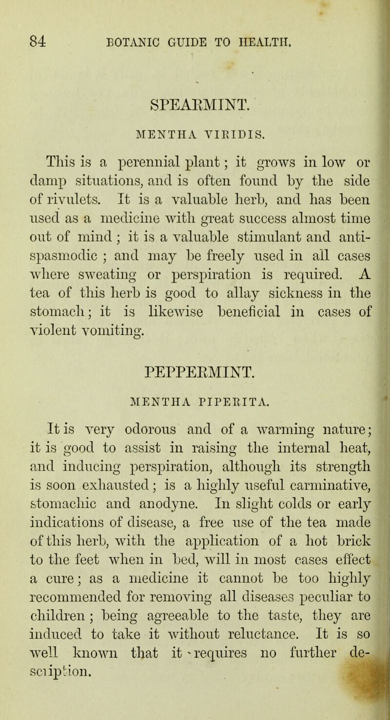 SPEAKMINT. MENTHA VIBIDIS. This is a perennial plant; it grows in low or damp situations, and is often found by the side of rivulets. It is a valuable herb, and has been used as a medicine with great success almost time out of mind ; it is a valuable stimulant and anti- spasmodic ; and may be freely used in all cases where sweating or perspiration is required. A tea of this herb is good to allay sickness in the stomach; it is likewise beneficial in cases of violent vomiting. PEPPEBMINT. MENTHA PIPERITA. It is very odorous and of a warming nature; it is good to assist in raising the internal heat, and inducing perspiration, although its strength is soon exhausted; is a highly useful carminative, stomachic and anodyne. In slight colds or early indications of disease, a free use of the tea made of this herb, with the application of a hot brick to the feet when in bed, will in most cases effect a cure; as a medicine it cannot be too highly recommended for removing all diseases peculiar to children; being agreeable to the taste, they are induced to take it without reluctance. It is so well known that it - requires no further de- scription.