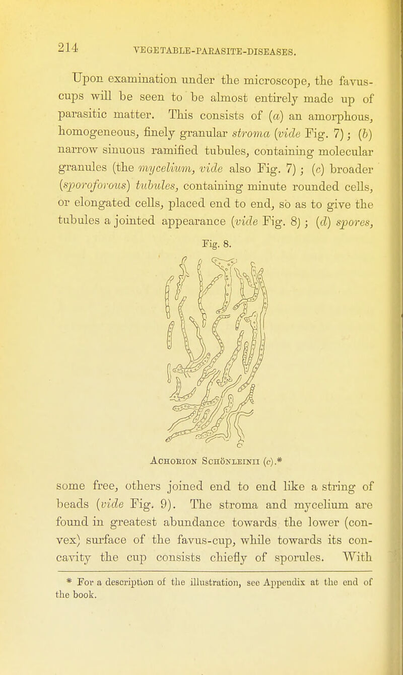 Upon examination tinder the microscope, the favus- cups will be seen to be almost entirely made up of parasitic matter. This consists of (a) an amorphous, homogeneous, finely granular stroma (vide Fig. 7); (b) narrow sinuous ramified tubules, containing molecular granules (the mycelium, vide also Fig. 7) ; (c) broader (sporoforous) tubules, containing minute rounded cells, or elongated cells, placed end to end, so as to give the tubules a jointed appearance (vide Fig. 8); (d) spores, Fig. 8. o Achoeion ScnfemiNii (c).* some free, others joined end to end like a string of beads (vide Fig. 9). The stroma and mycelium are found in greatest abundance towards the lower (con- vex) surface of the favus-cup, while towards its con- cavity the cup consists chiefly of sporules. With * For a description of the illustration, sec Appendix at the end of