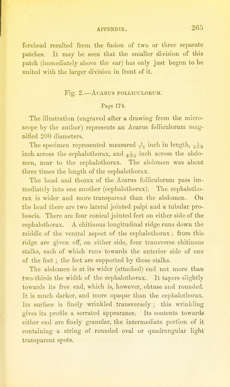 forehead resulted from the fusion of two or three separate patches. It may be seen that the smaller division of this patch (immediately above the ear) has only just begun to be united with the larger division in front of it. Fig. 2. ACARUS FOLLICULORUM. Page 174. The illustration (engraved after a drawing from the micro- scope by the author) represents an Acarus folliculorum mag- nified 200 diameters. The specimen represented measured ^ inch in length, -y-i-g- inch across the cephalothorax, and -g-i-g- inch across the abdo- men, near -to the cephalothorax. The abdomen was about three times the length of the cephalothorax. The head and thorax of the Acarus folliculorum pass im- mediately into one another (cephalothorax). The cephalotho- rax is wider and more transparent than the abdomen. On the head there are two lateral jointed palpi and a tubular pro- boscis. There are four conical jointed feet on either side of the cephalothorax. A chitinous longitudinal ridge runs down the middle of the ventral aspect of the cephalothorax; from this ridge are given off, on either side, four transverse chitinous stalks, each of which runs towards the anterior side of one of the feet ; the feet are supported by these stalks. The abdomen is at its wider (attached) end not more than two-thirds the width of the cephalothorax. It tapers slightly towards its free end, which is, however, obtuse and rounded. It is much darker, and more opaque than the cephalothorax. Its surface is finely wrinkled transversely ; this wrinkling gives its profile a serrated appearance. Its contents towards either end are finely granular, the intermediate portion of it containing a string of rounded oval or quadrangular light transparent spots.