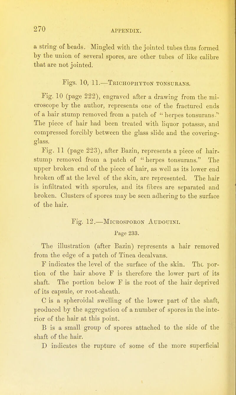 a string of beads. Mingled with the jointed tubes thus formed by the union of several spores, are other tubes of like calibre that are not jointed. Figs. 10, 11.—Trichophyton tonsurans. Fig. 10 (page 222), engraved after a drawing from the mi- croscope by the author, represents one of the fractured ends of a hair stump removed from a patch of  herpes tonsurans. The piece of hair had been treated with liquor potassae, and compressed forcibly between the glass slide and the covering- glass. Fig. 11 (page 223), after Bazin, represents a piece of hair- stump removed from a patch of  herpes tonsurans. The upper broken end of the piece of hair, as well as its lower end broken off at the level of the skin, are represented. The hair is infiltrated with sporules, and its fibres are separated and broken. Clusters of spores may be seen adhering to the surface of the hair. Fig. 12.—Microsporon Audotjini. Page 233. The illustration (after Bazin) represents a hair removed from, the edge of a patch of Tinea decalvans. F indicates the level of the surface of the skin. The por- tion of the hair above F is therefore the lower part of its shaft. The portion below F is the root of the hair deprived of its capsule, or root-sheath. C is a spheroidal swelling of the lower part of the shaft, produced by the aggregation of a number of spores in the inte- rior of the hair at this point. B is a small group of spores attached to the side of the shaft of the hair. D indicates the rupture of some of the more superficial